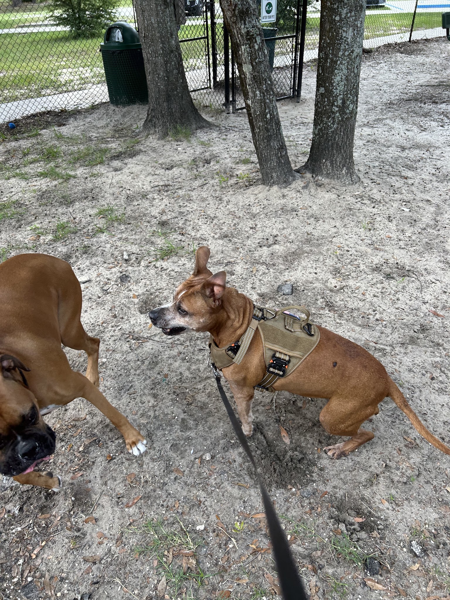 Keystone Heights Sunrise Park - Keystone Heights, FL