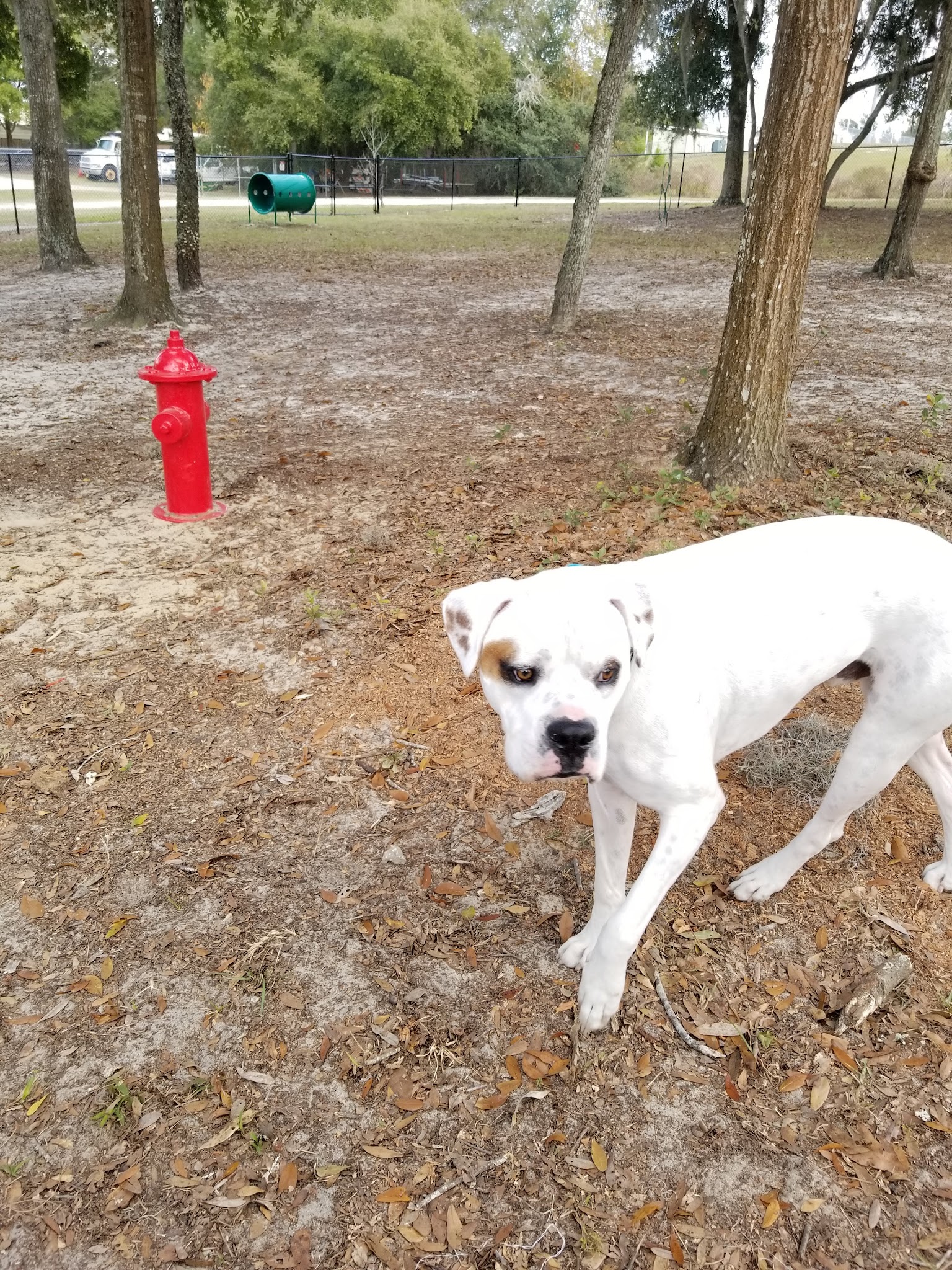 Keystone Heights Sunrise Park - Keystone Heights, FL