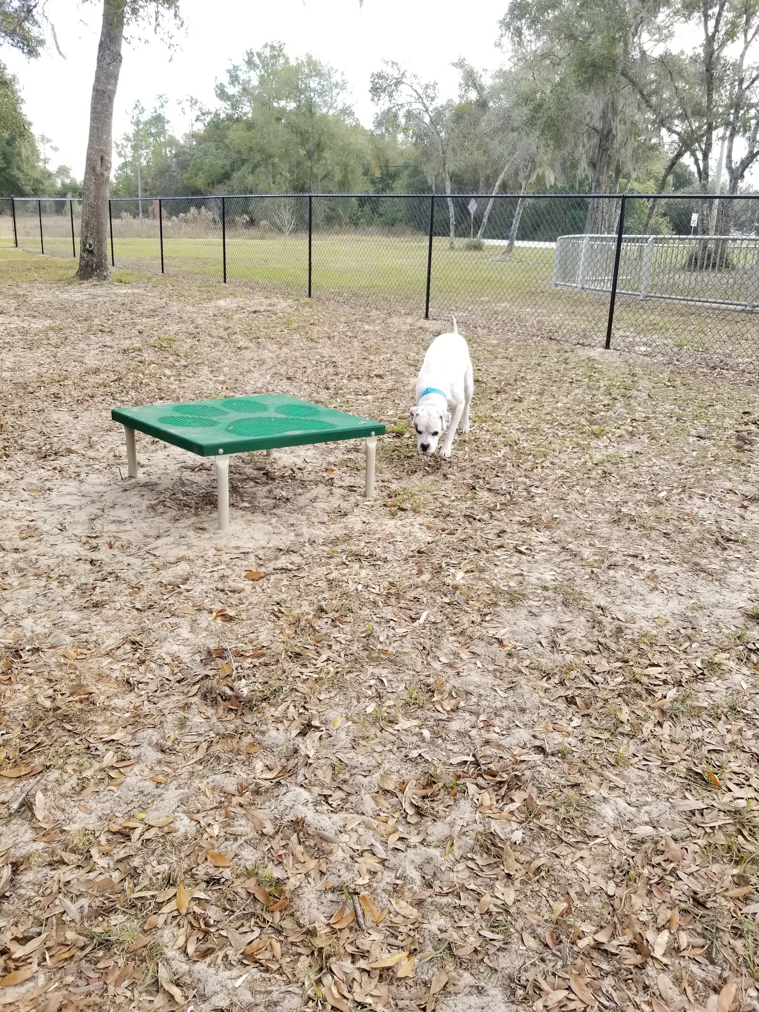 Keystone Heights Sunrise Park - Keystone Heights, FL