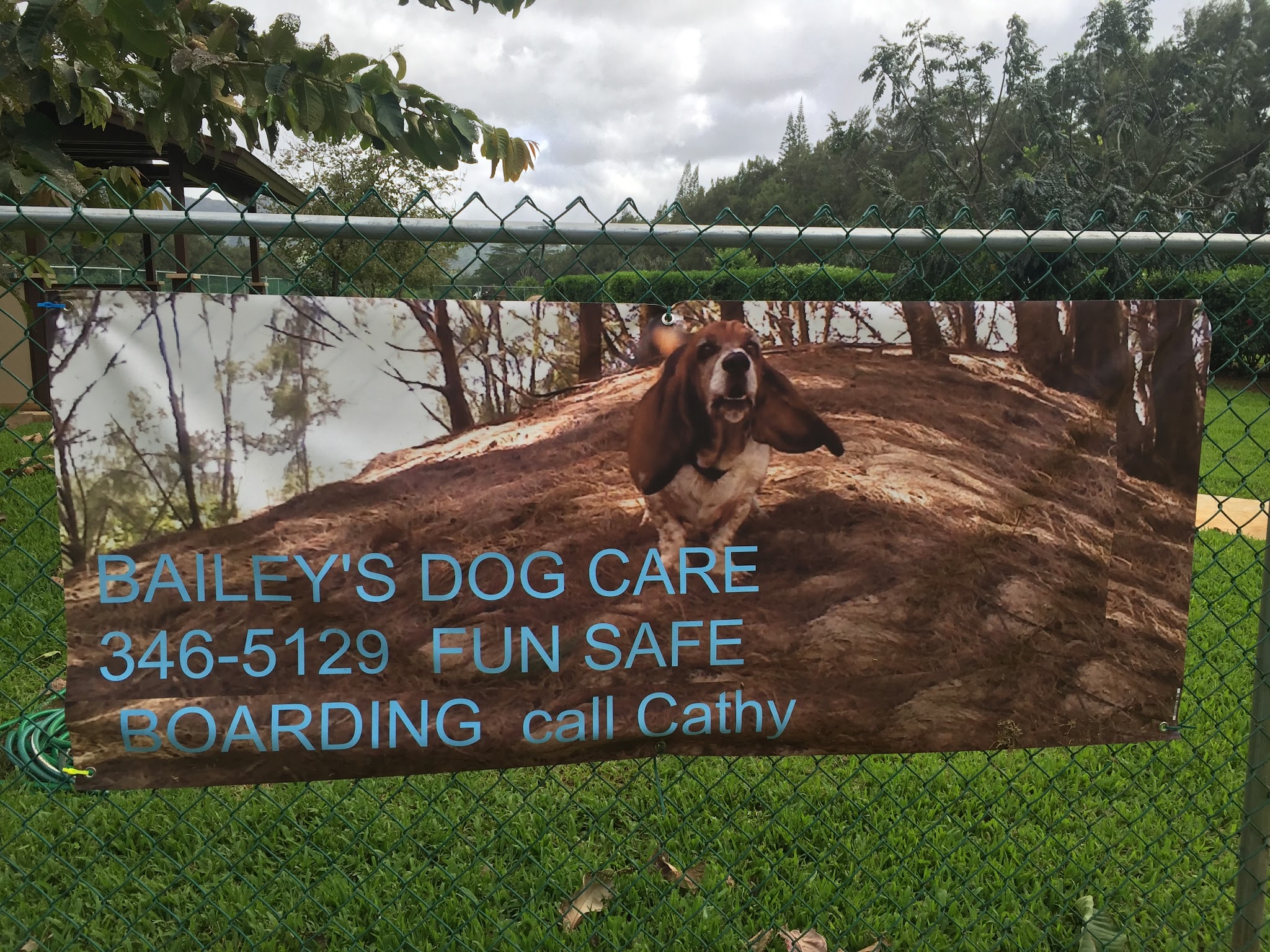 Dog Park - Kilauea, HI