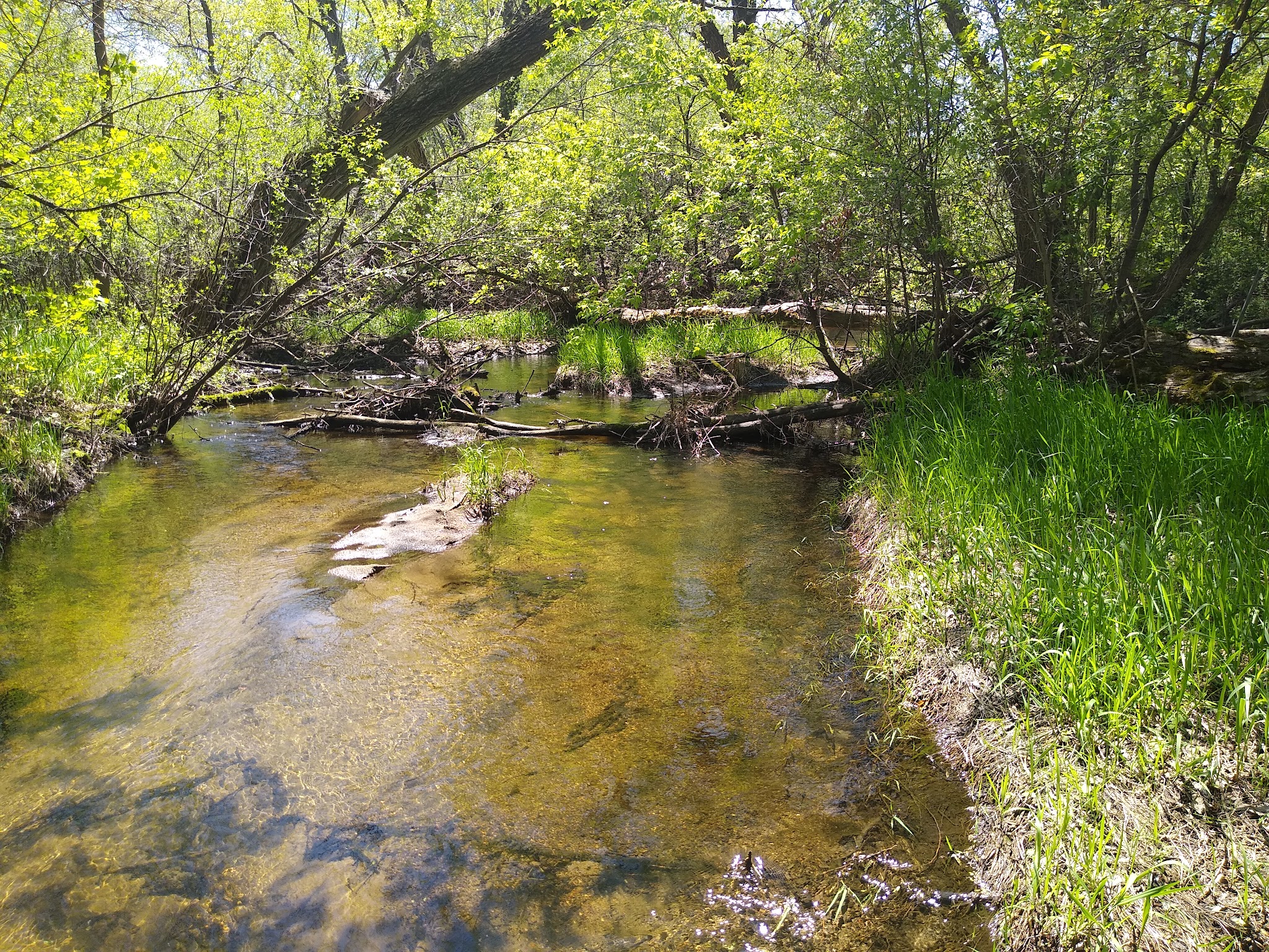 Willow Creek Park - Kimball, MN
