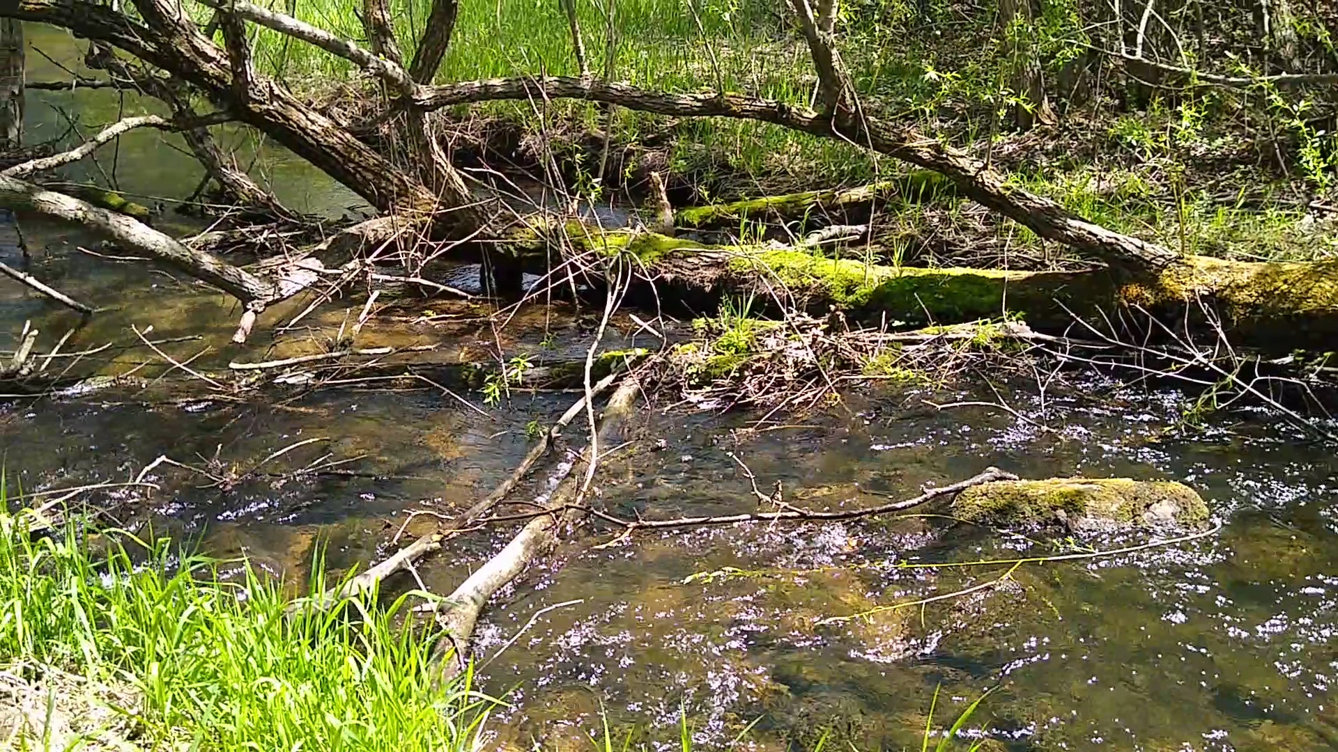 Willow Creek Park - Kimball, MN