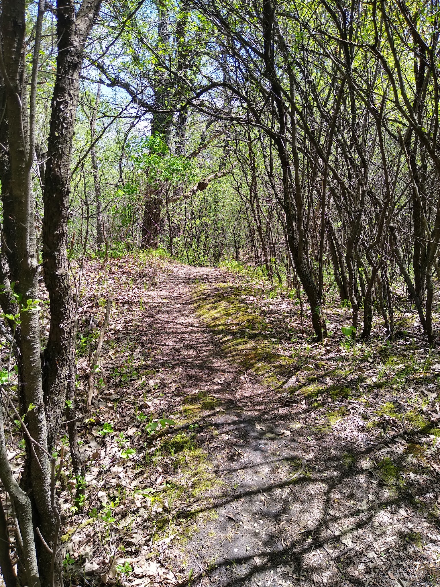 Willow Creek Park - Kimball, MN