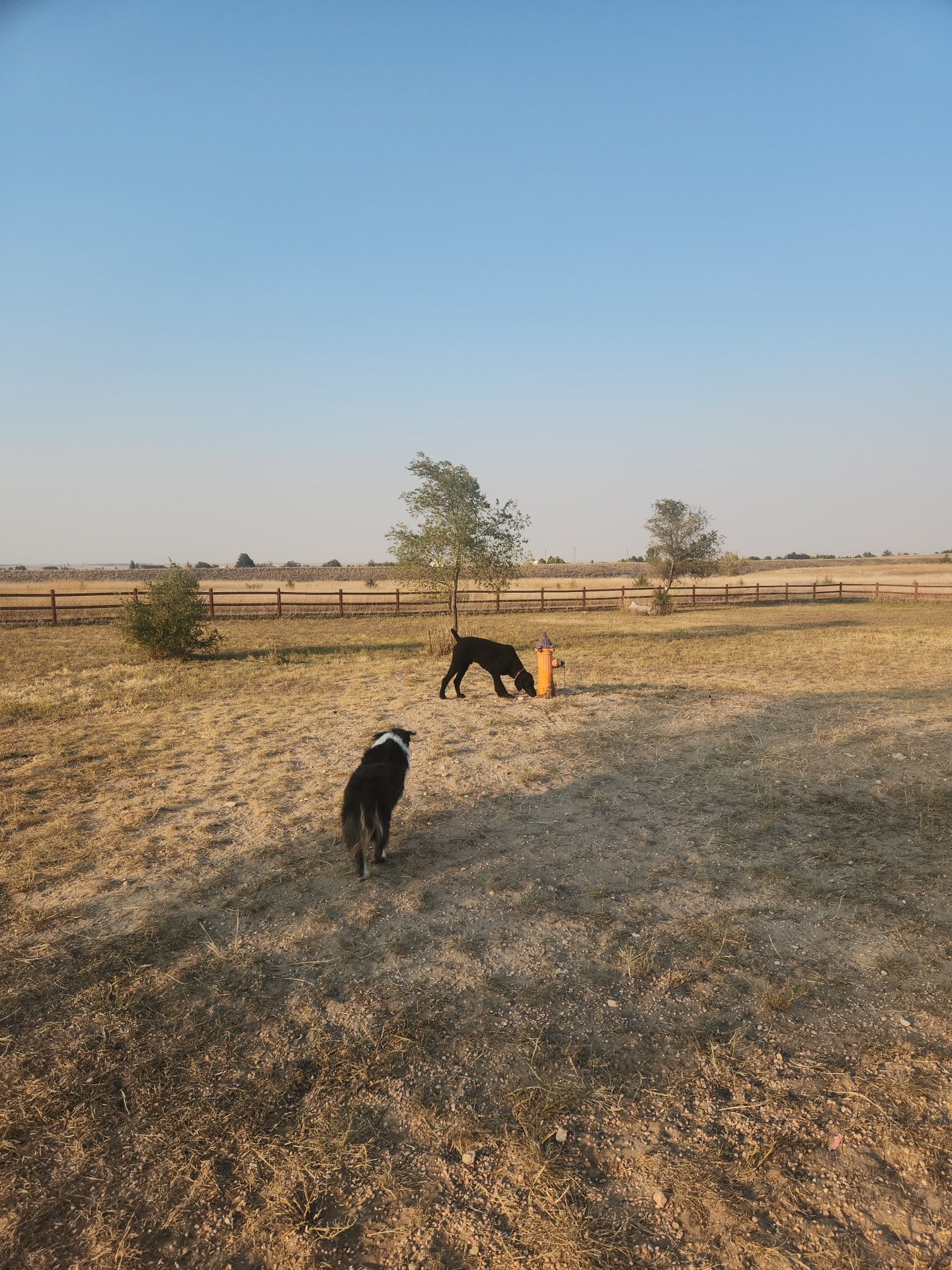 High Point K-9 Park - Kimball, NE