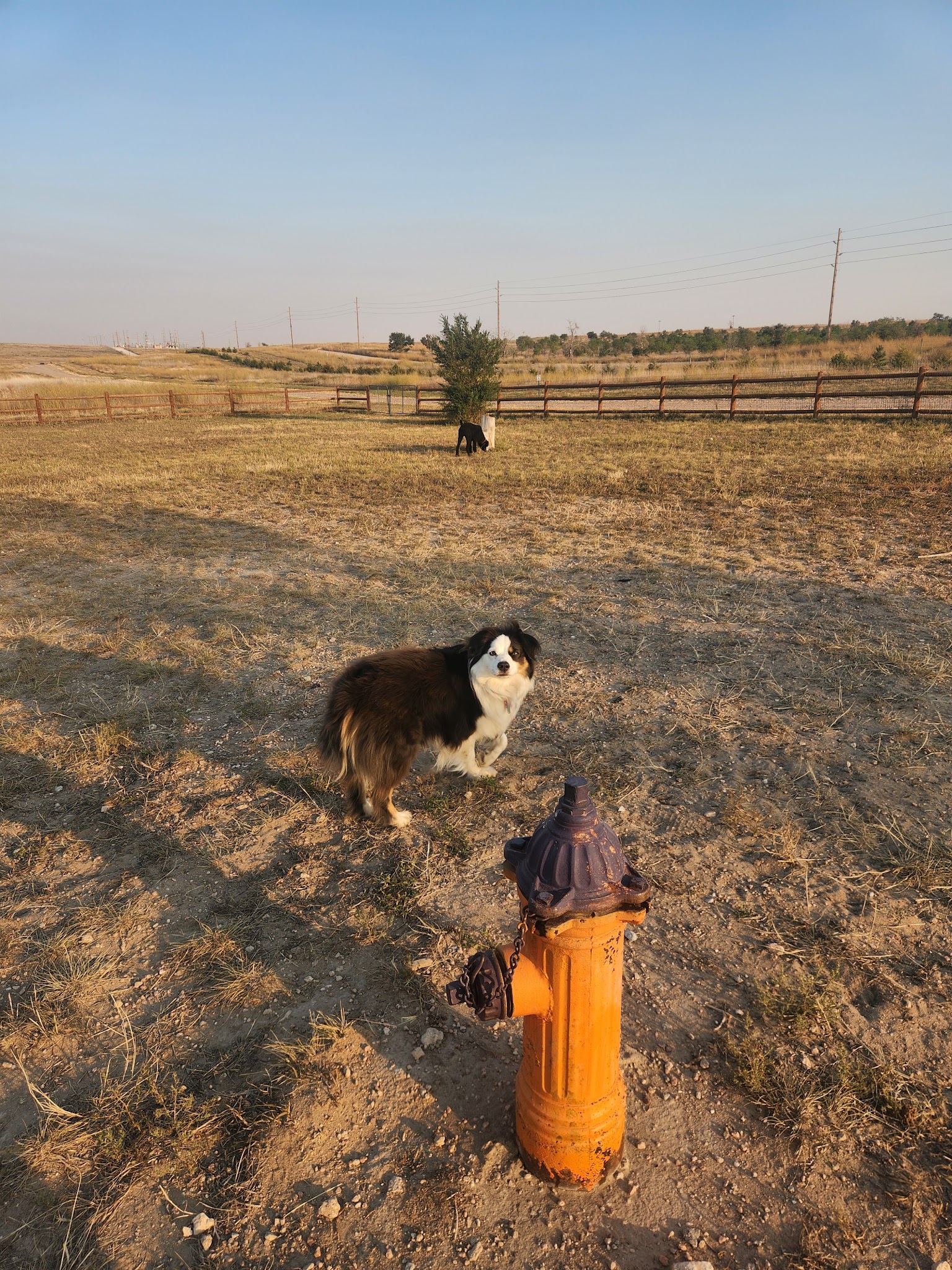 High Point K-9 Park - Kimball, NE
