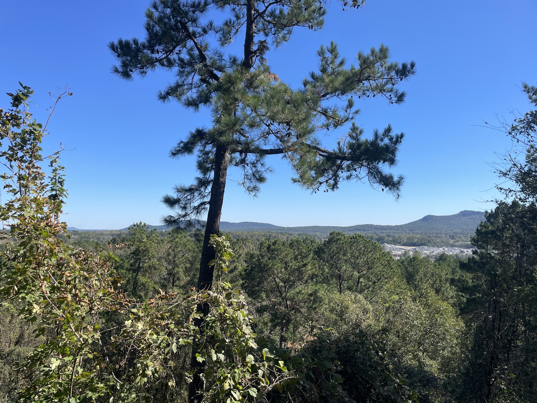 Kings Mountain Gateway Trail - Kings Mountain, NC
