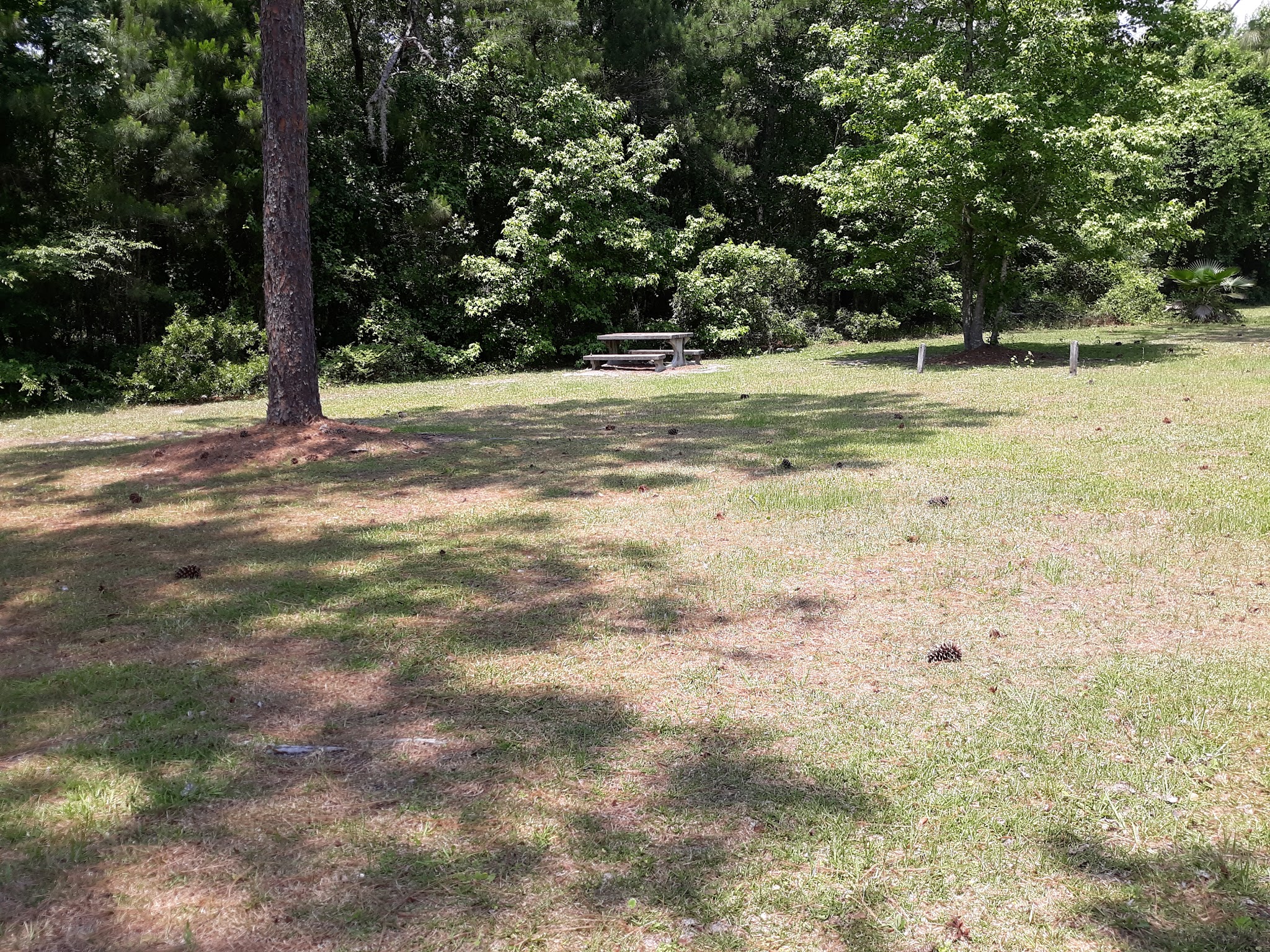 Catfish Creek Dog Park - Kingsland, GA