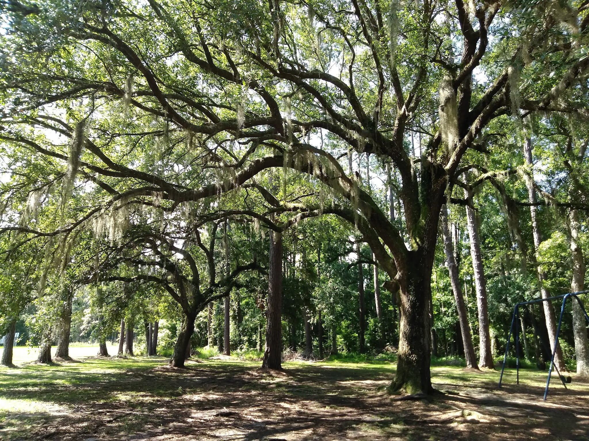 Catfish Creek Dog Park - Kingsland, GA