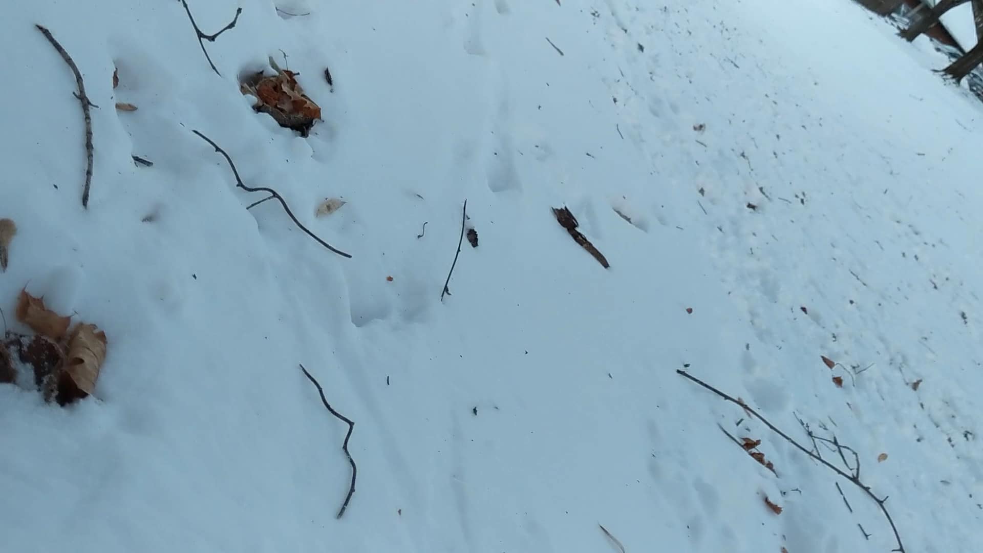 Hasbrouck Park - Kingston, NY