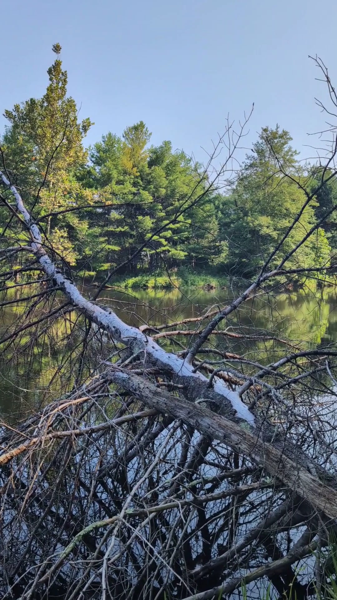 Onteora Lake Trailhead and Parking - Kingston, NY