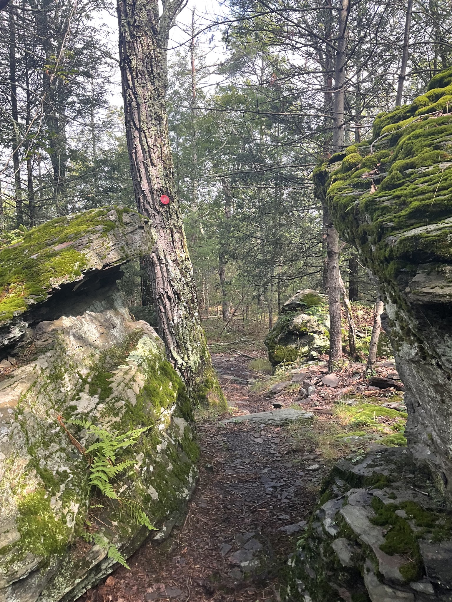 Onteora Lake Trailhead and Parking - Kingston, NY
