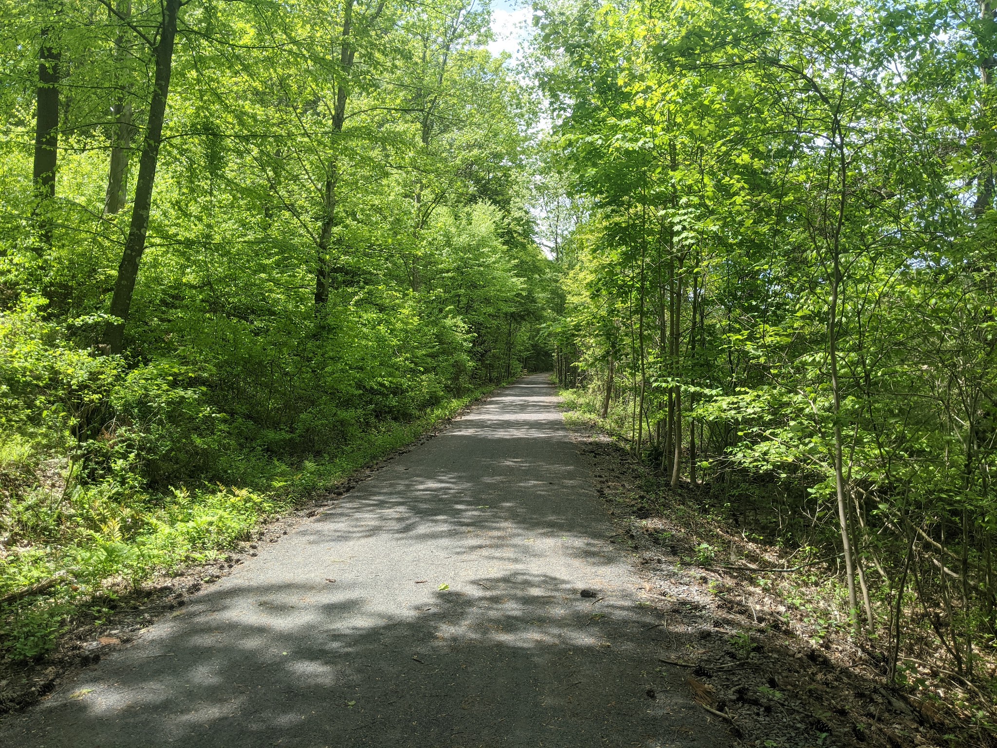 Wallkill Valley Rail Trail Parking, North, Kingston, NY - Kingston, NY