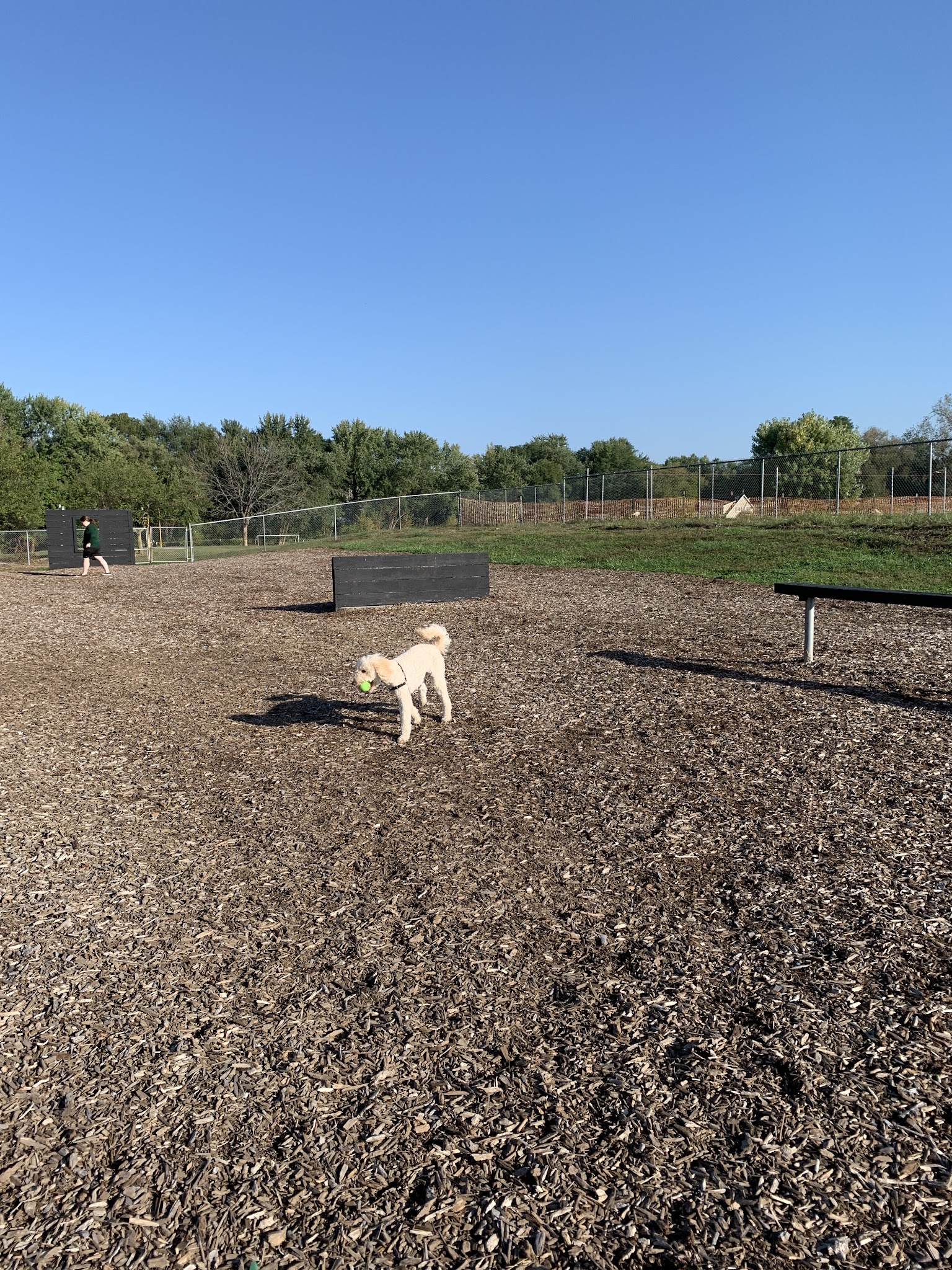 Kingston dog park - Kingston, PA