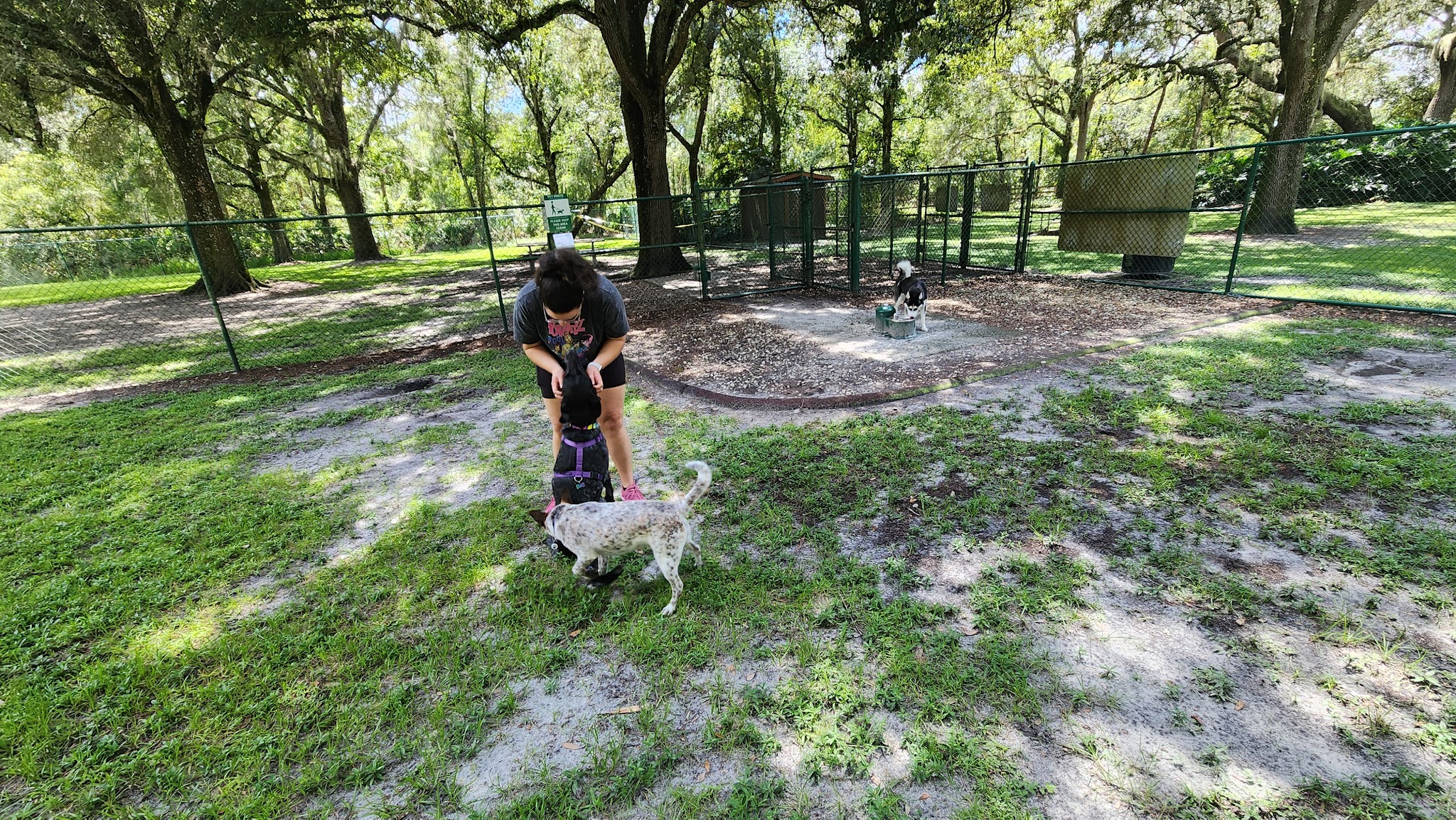 Kissimmee dog park - Kissimmee, FL