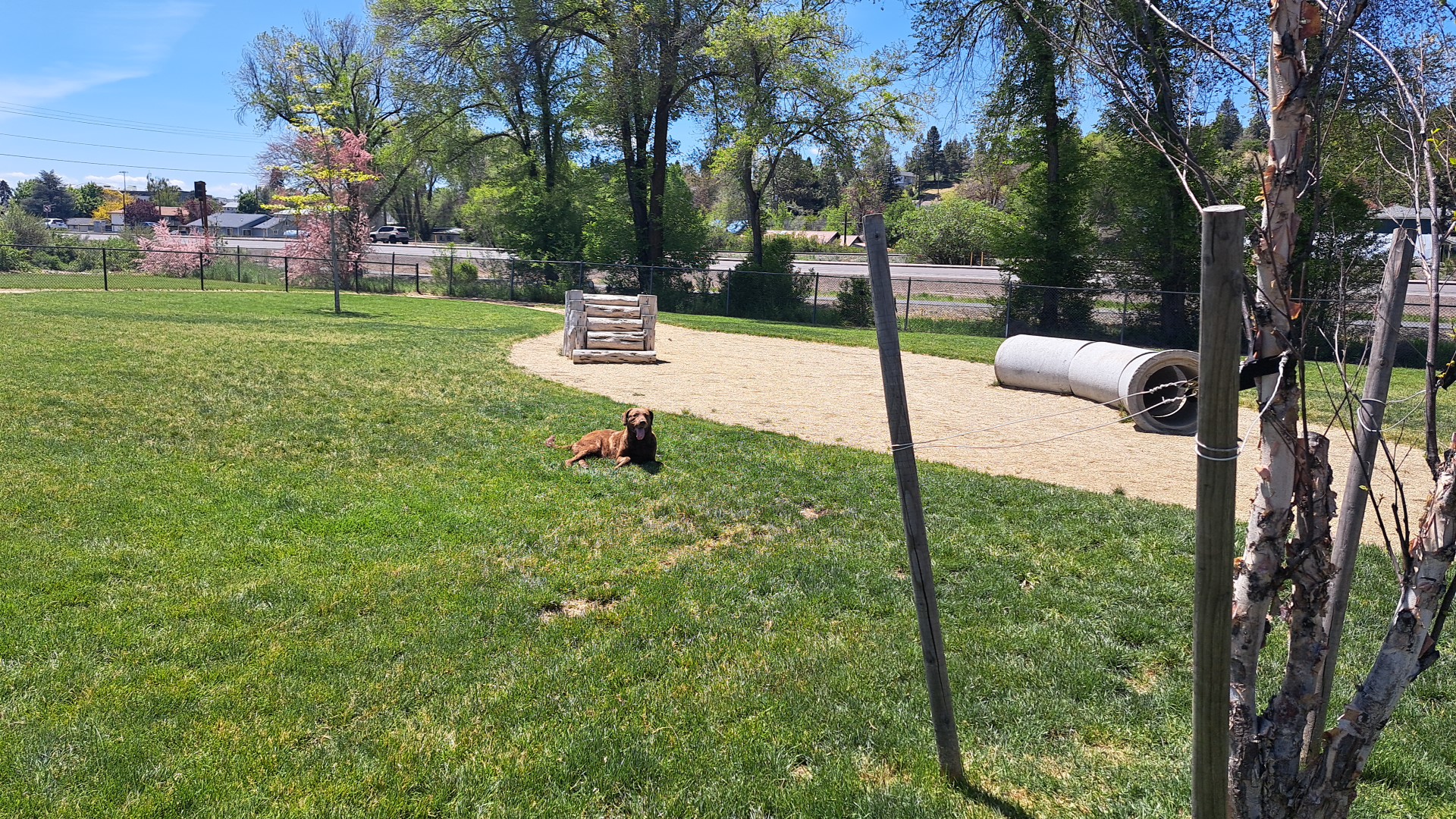Eulalona Dog Park - Klamath Falls, OR