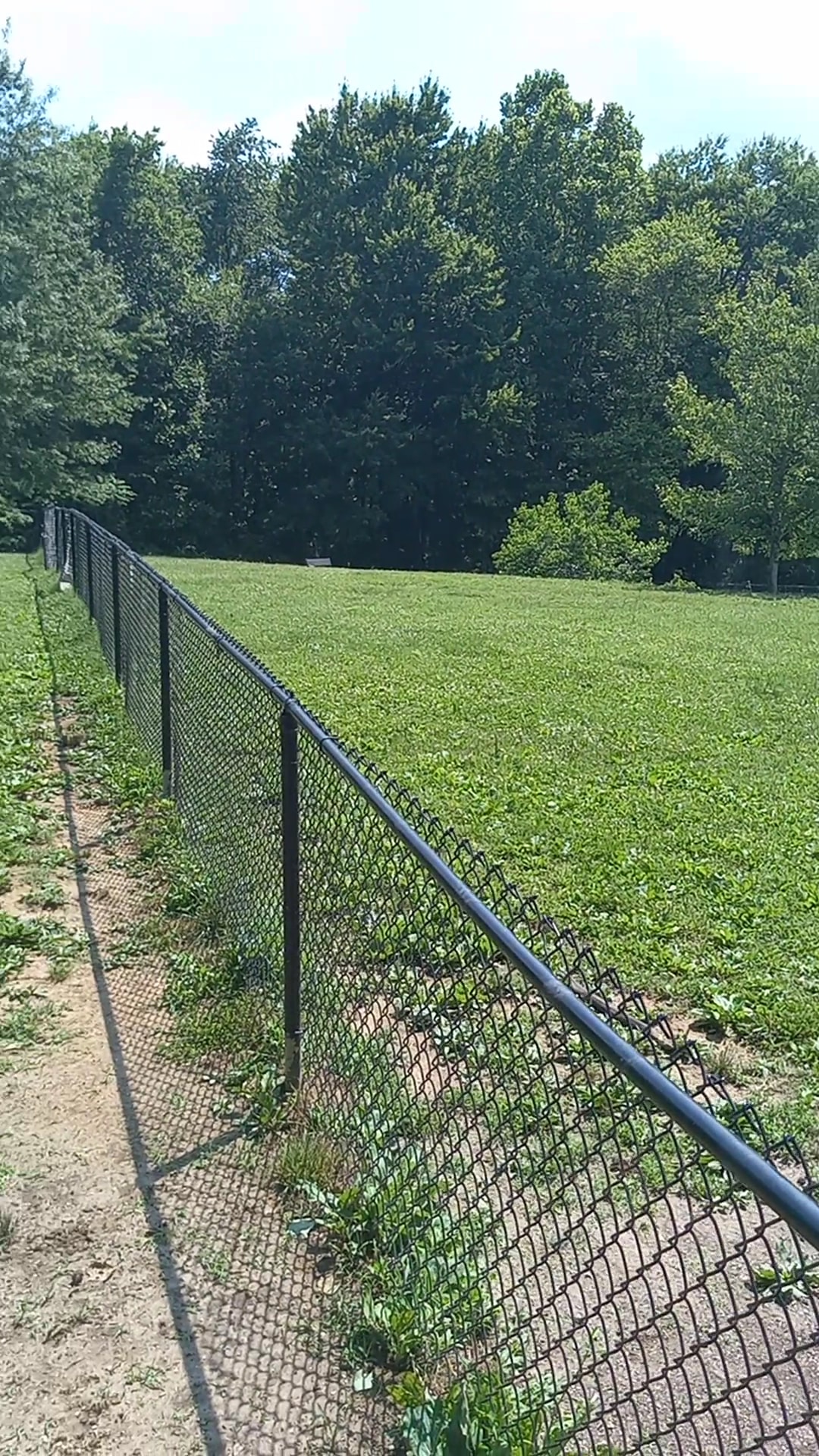 Tommy Schumpert Park Dog Park - Knoxville, TN