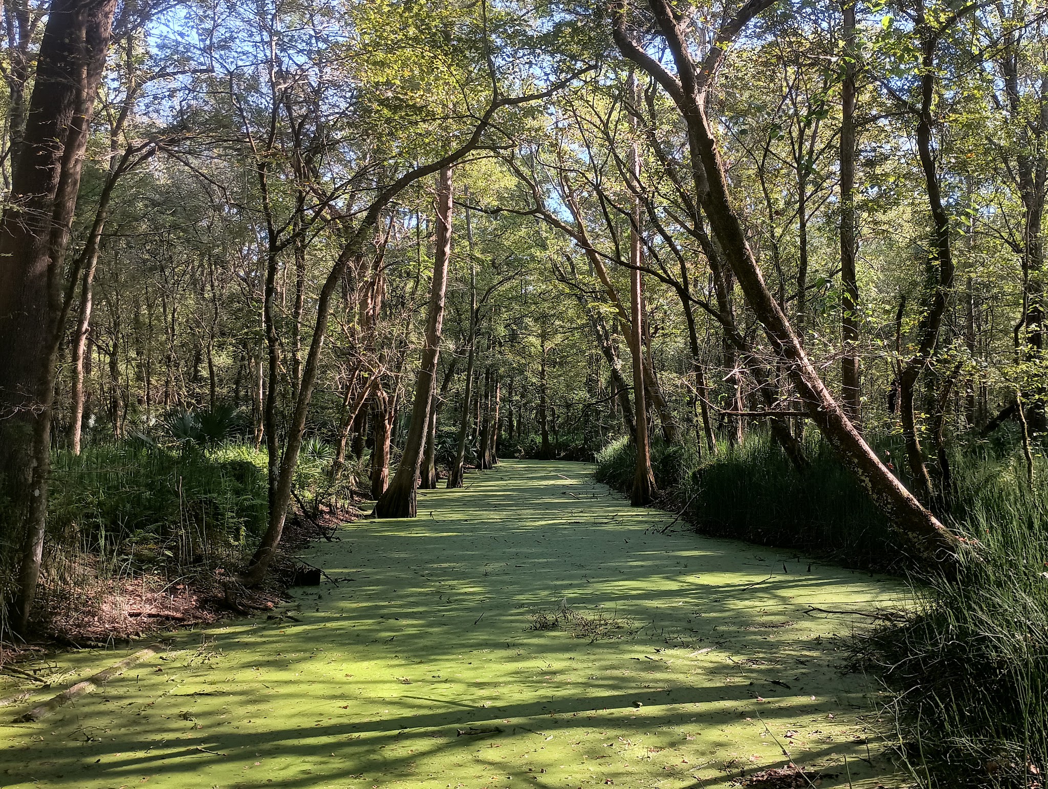 Indian Bayou Trail - Krotz Springs, LA