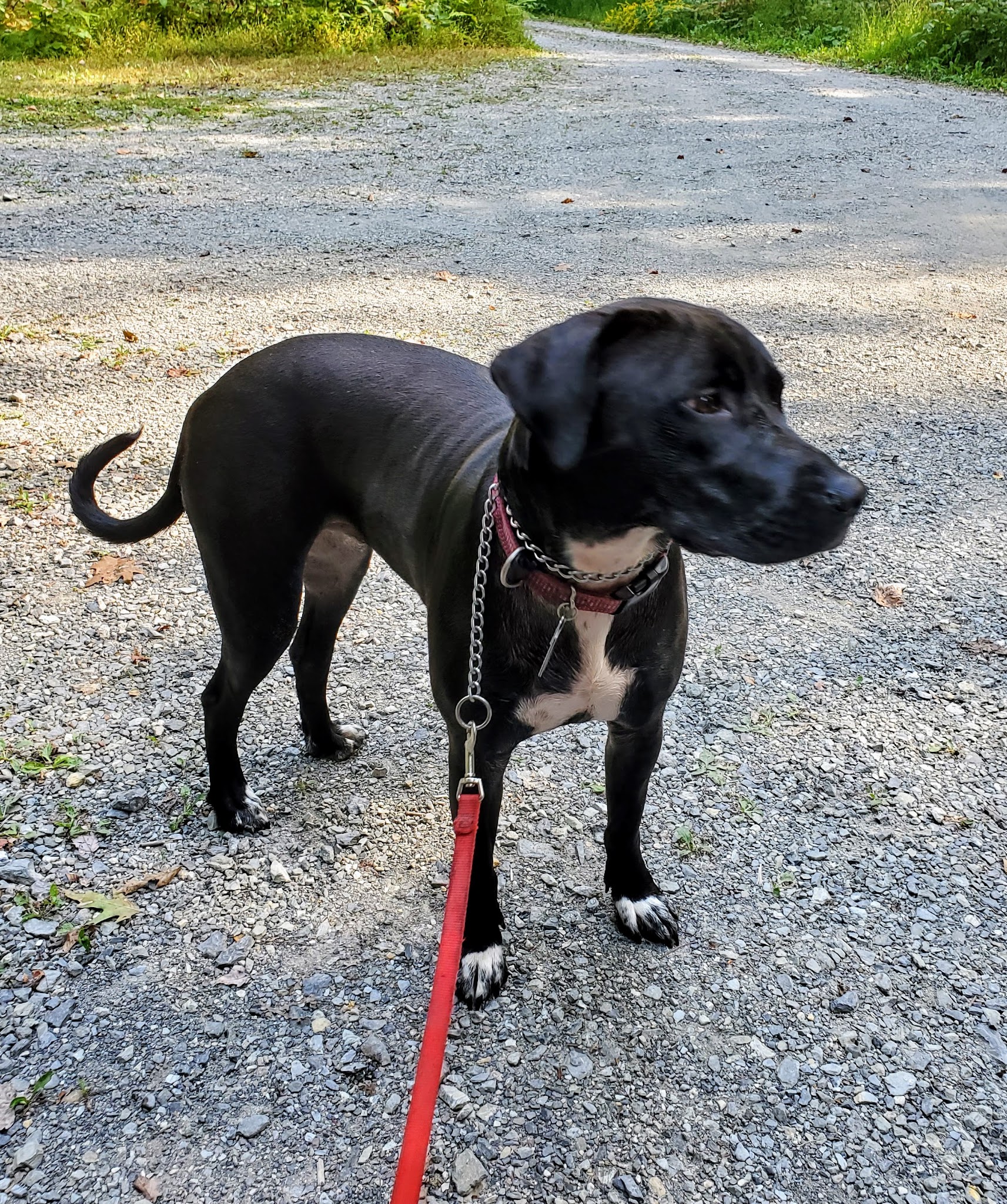 Cliff Woodring Trail - Kunkletown, PA