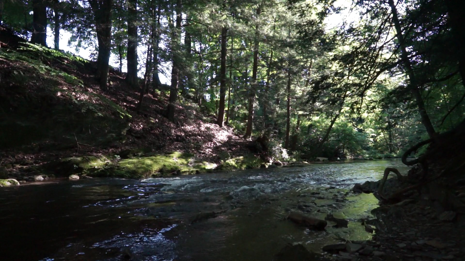 Walter W. Mock Memorial Park - Kunkletown, PA