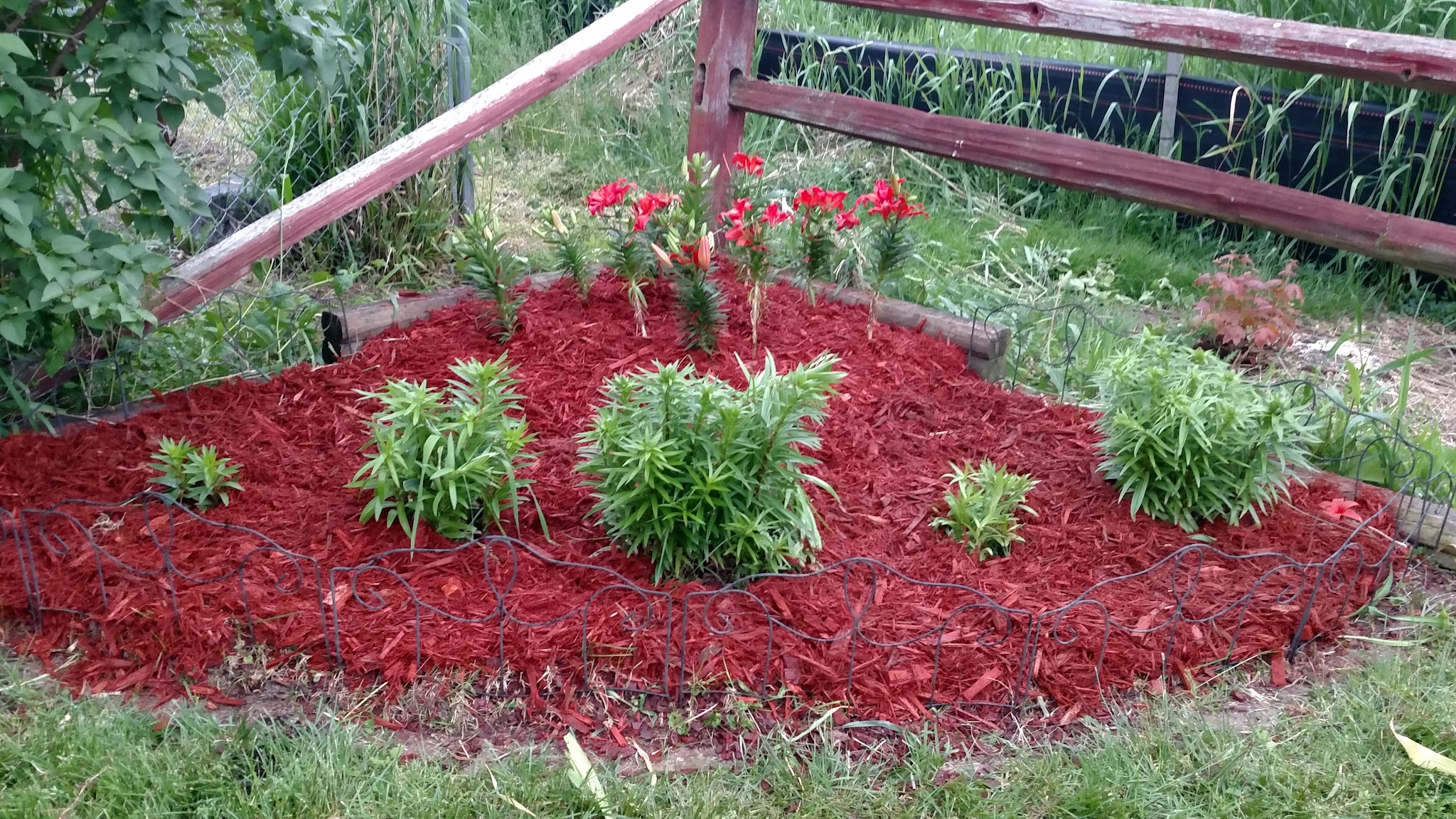 Crescent Valley Park - La Crescent, MN
