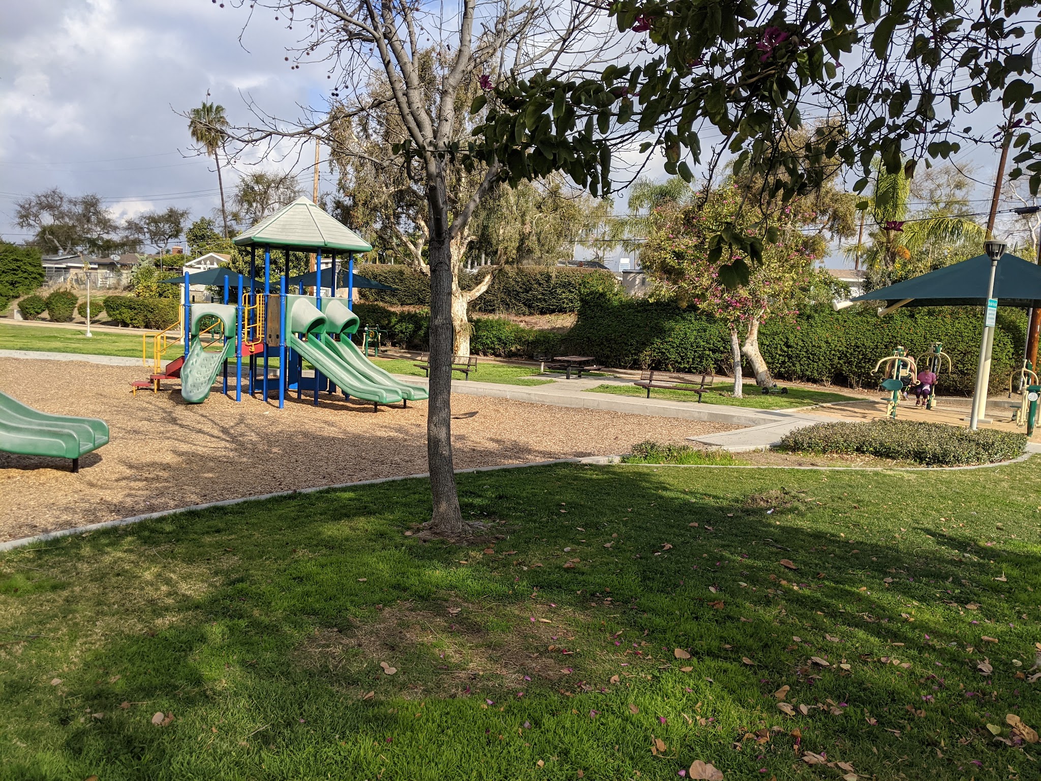 Las Lomas Park - La Habra, CA