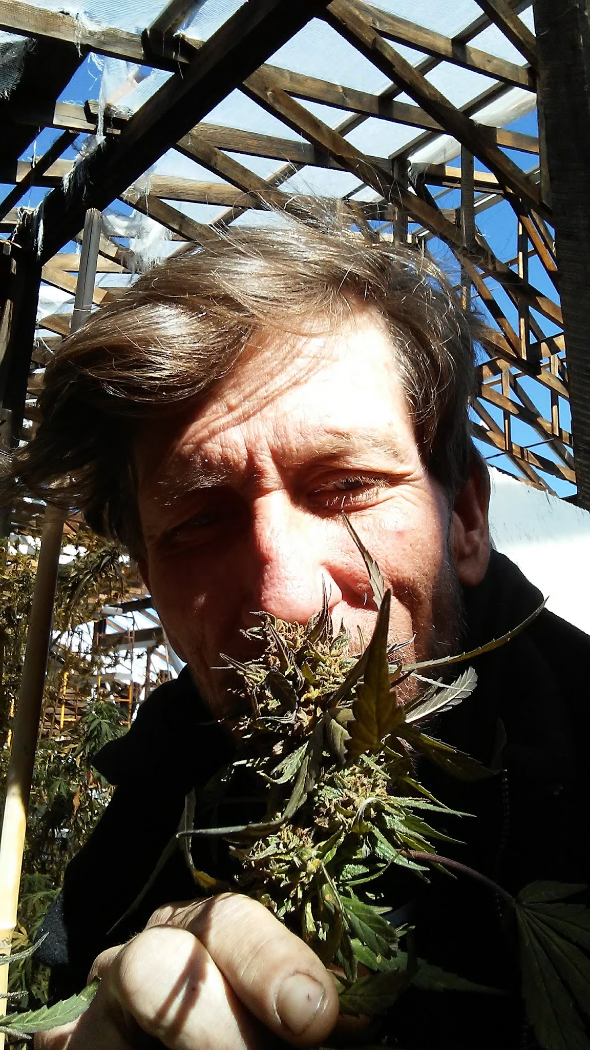 Town Park - La Jara, CO