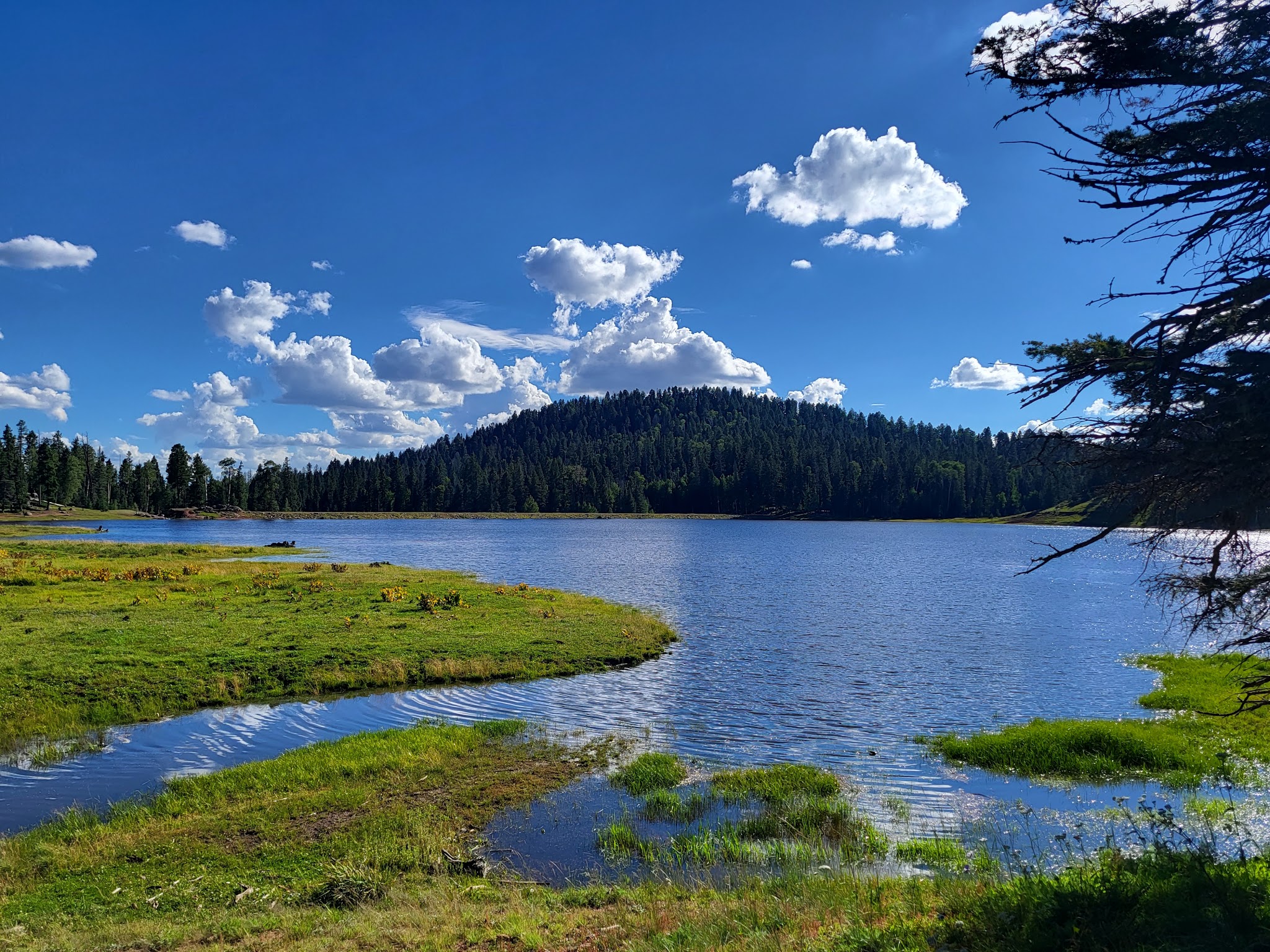 San Gregorio Lake Trail - La Jara, NM