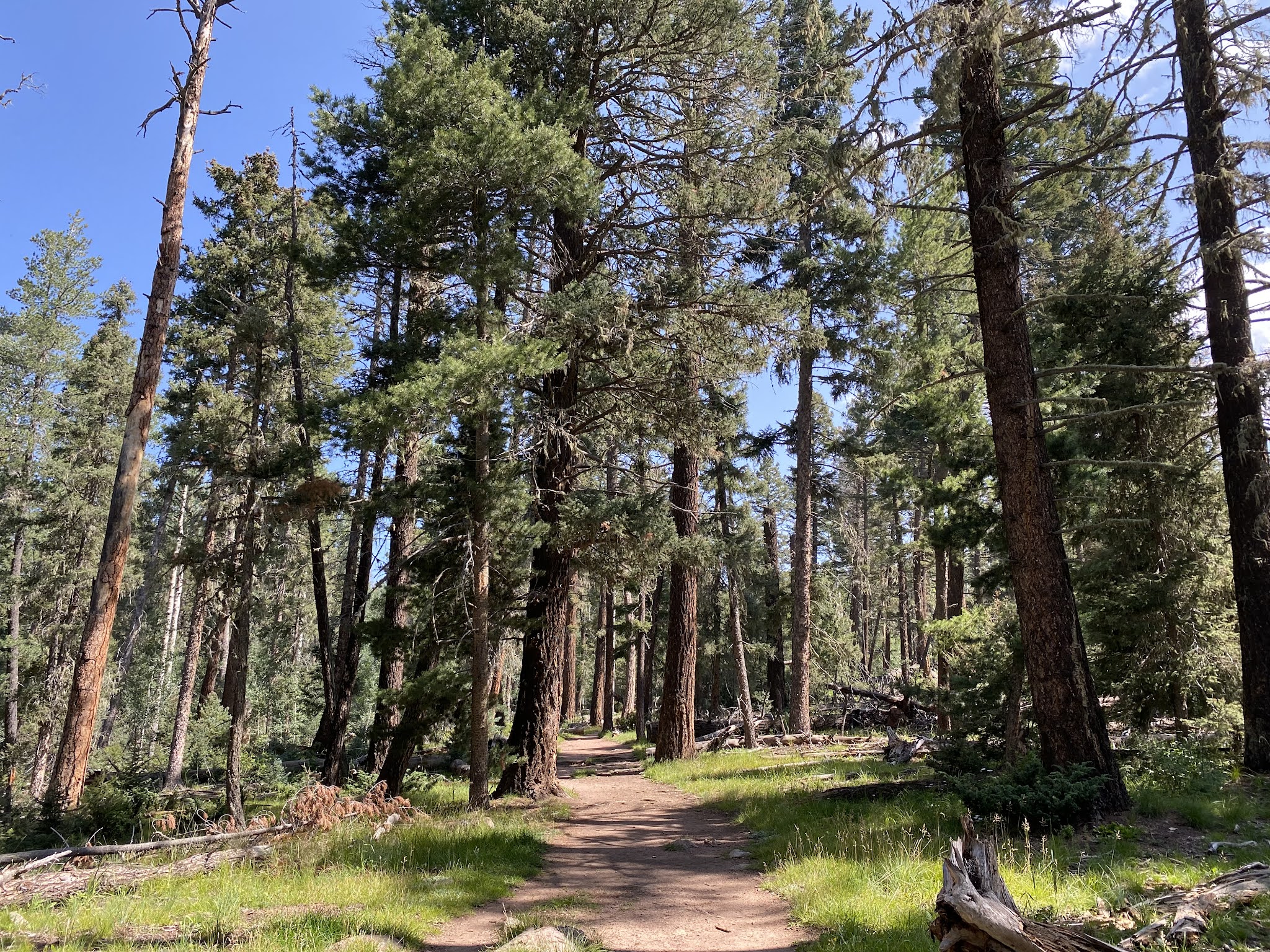 San Gregorio Lake Trail - La Jara, NM
