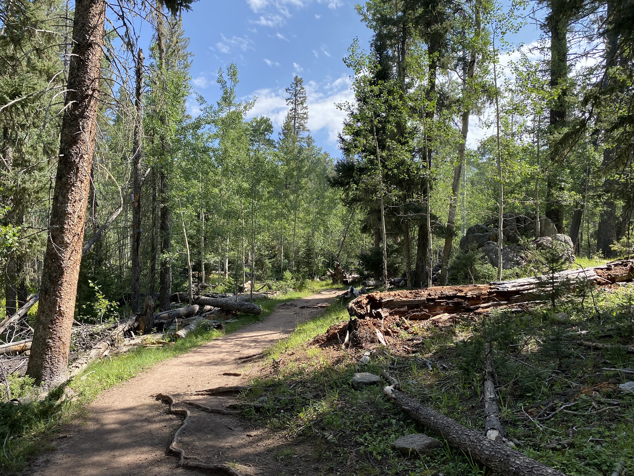 San Gregorio Lake Trail - La Jara, NM