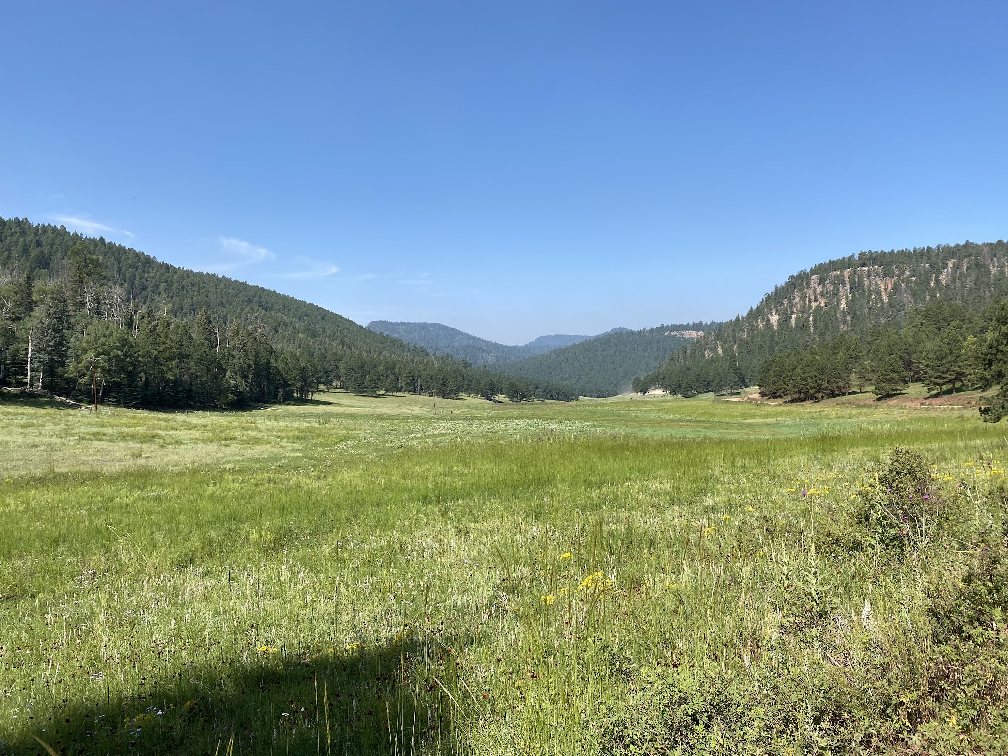 San Gregorio Lake Trail - La Jara, NM