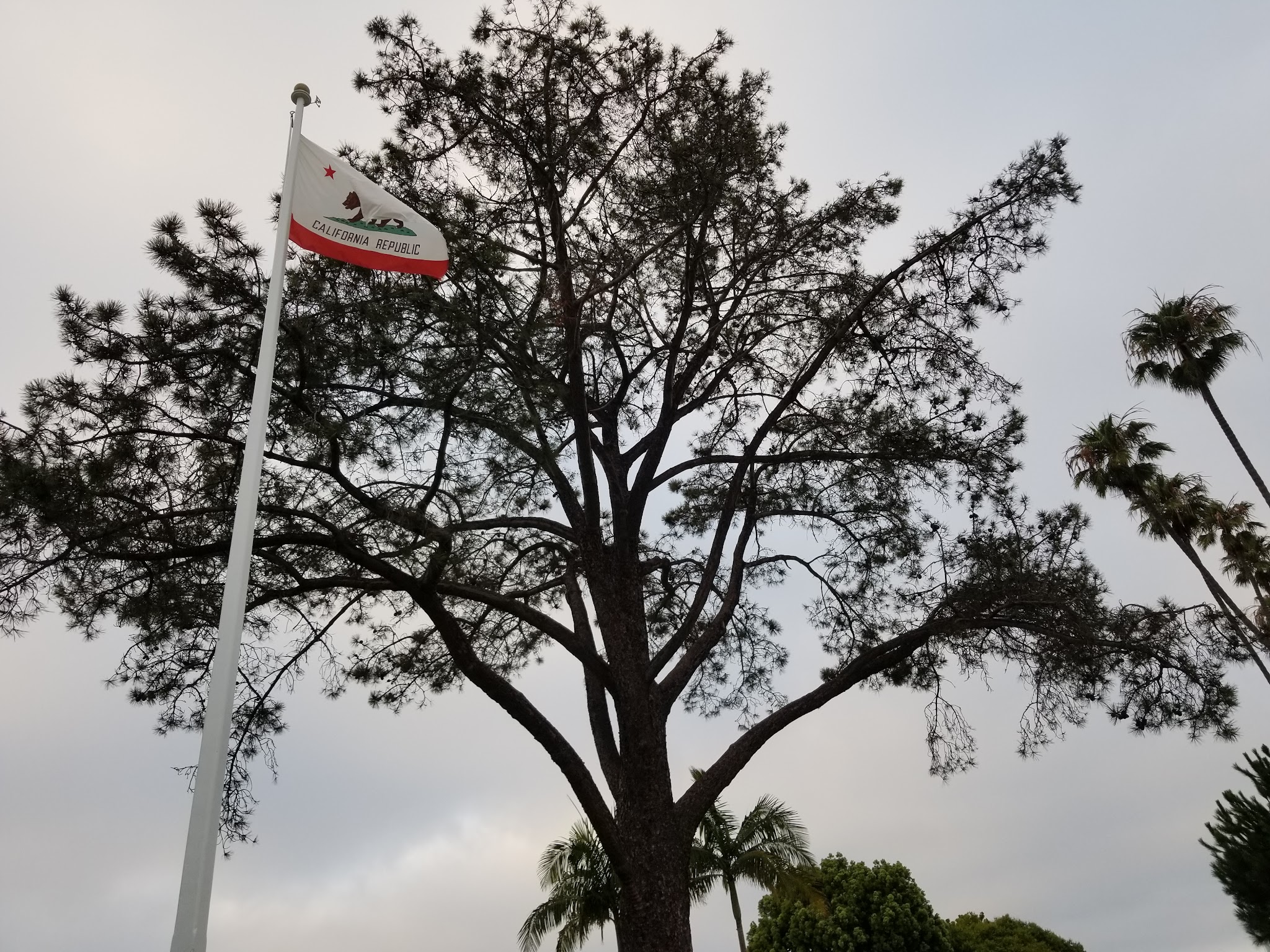 Union Place Circle Park - La Jolla, CA
