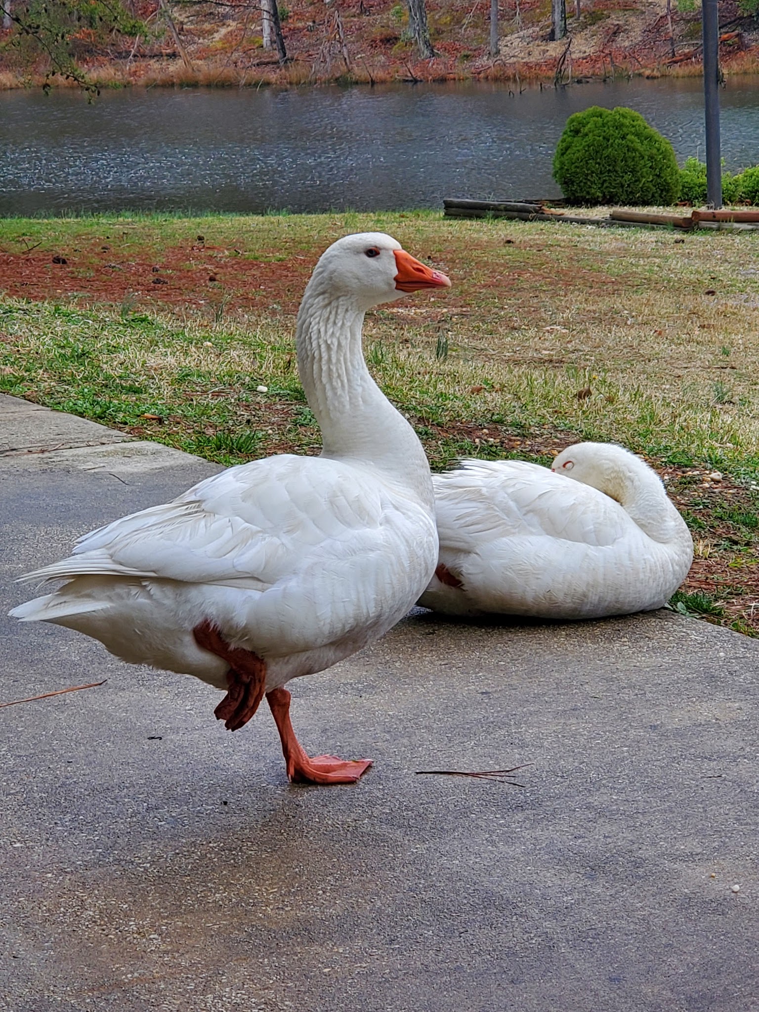 Tilghman Lake Park - La Plata, MD