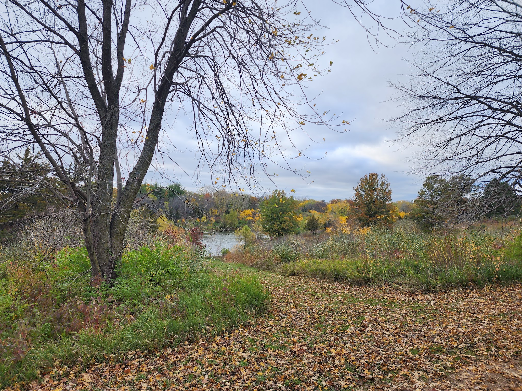 Lake Iowa Park (Iowa County Conservation) - Ladora, IA