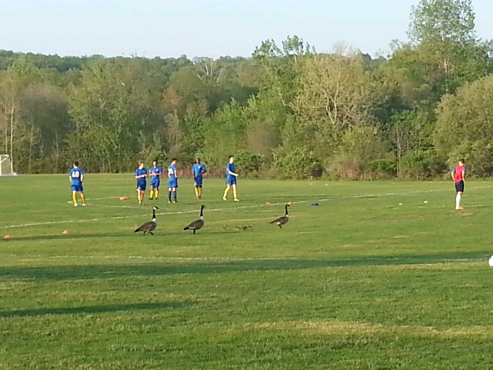Stringham Park - Lagrangeville, NY
