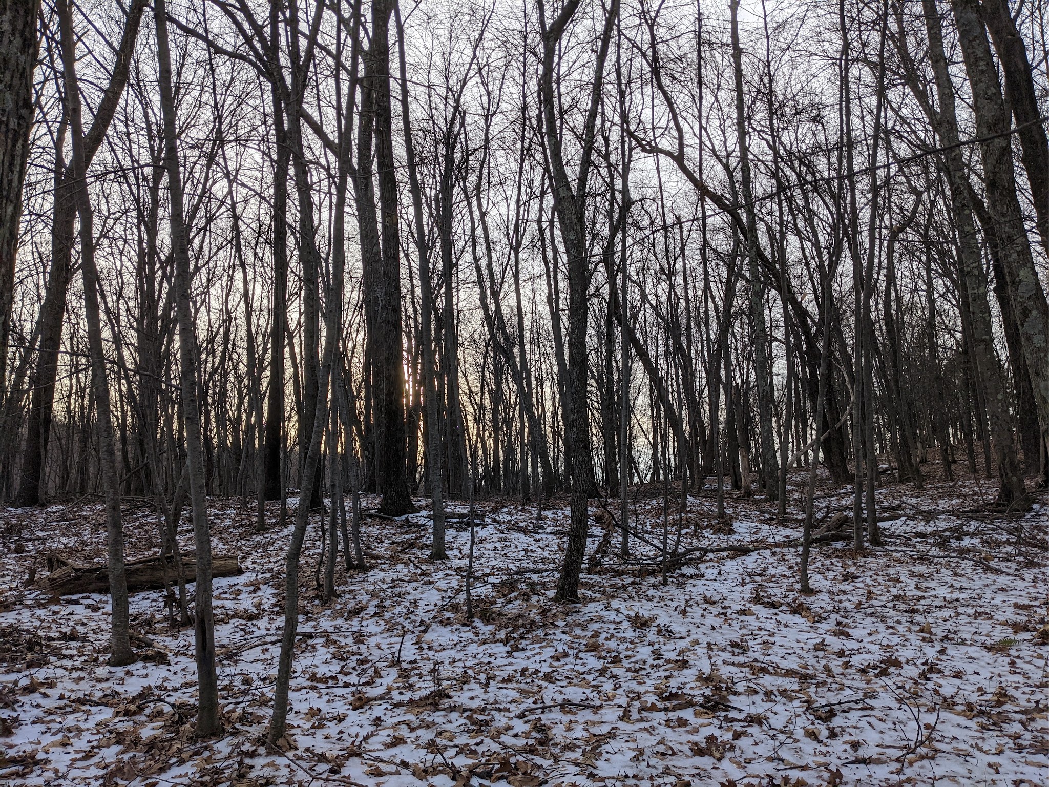 Tymor Park - Trail K - Lagrangeville, NY