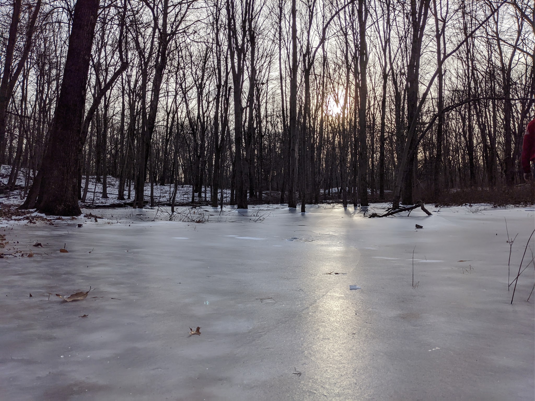 Tymor Park - Trail K - Lagrangeville, NY