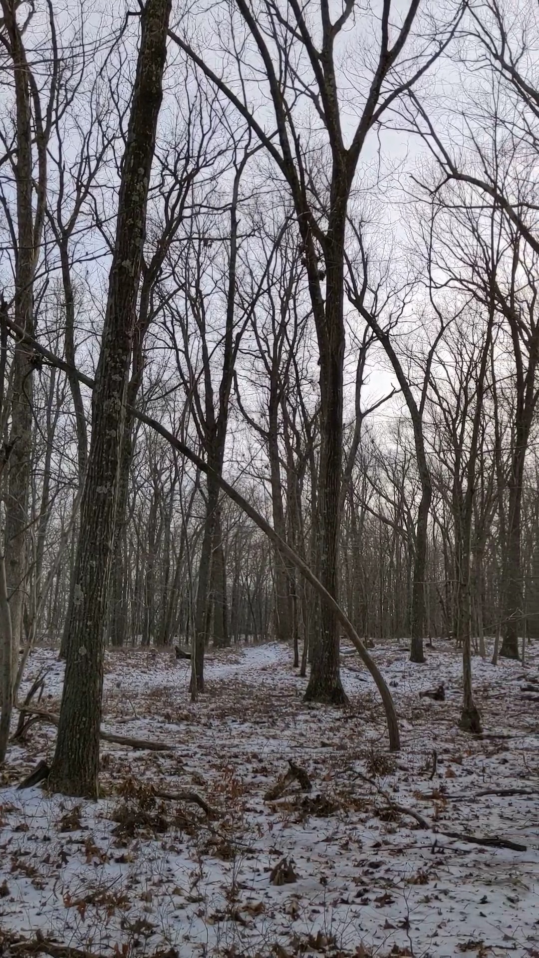 Tymor Park - Trail K - Lagrangeville, NY