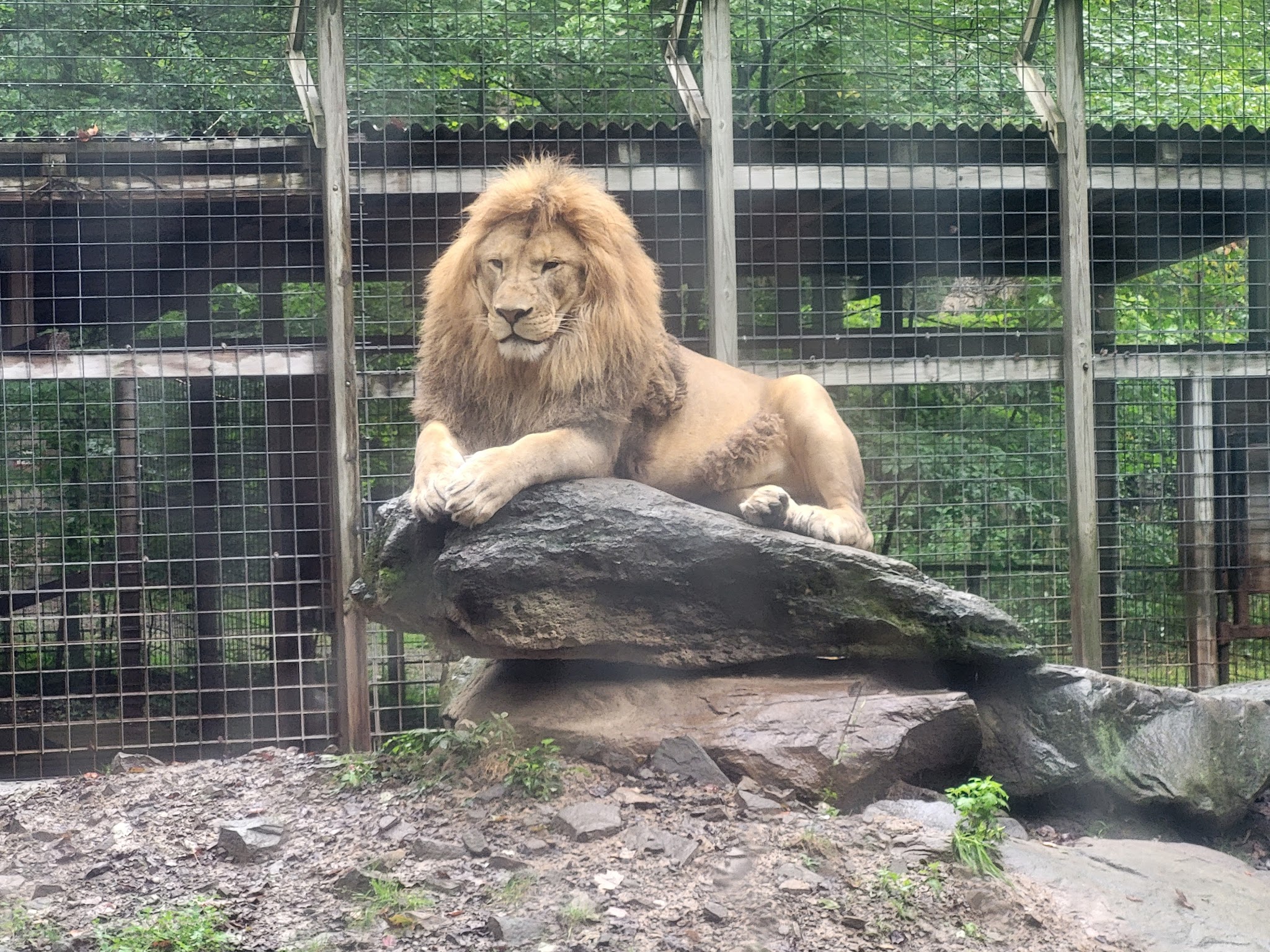 Claws 'N' Paws Wild Animal Park - Lake Ariel, PA