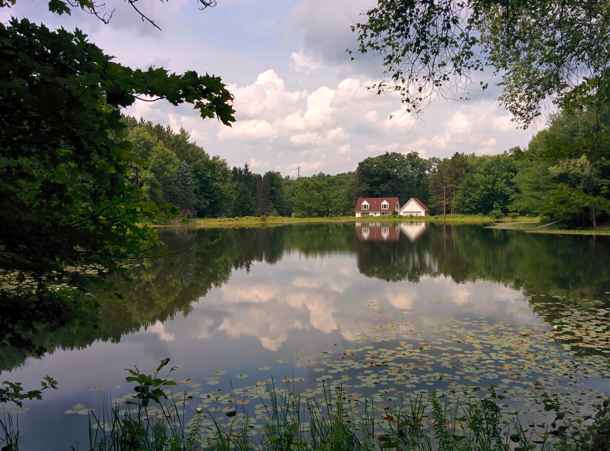 Varden Conservation Area Tannery Tract - Lake Ariel, PA