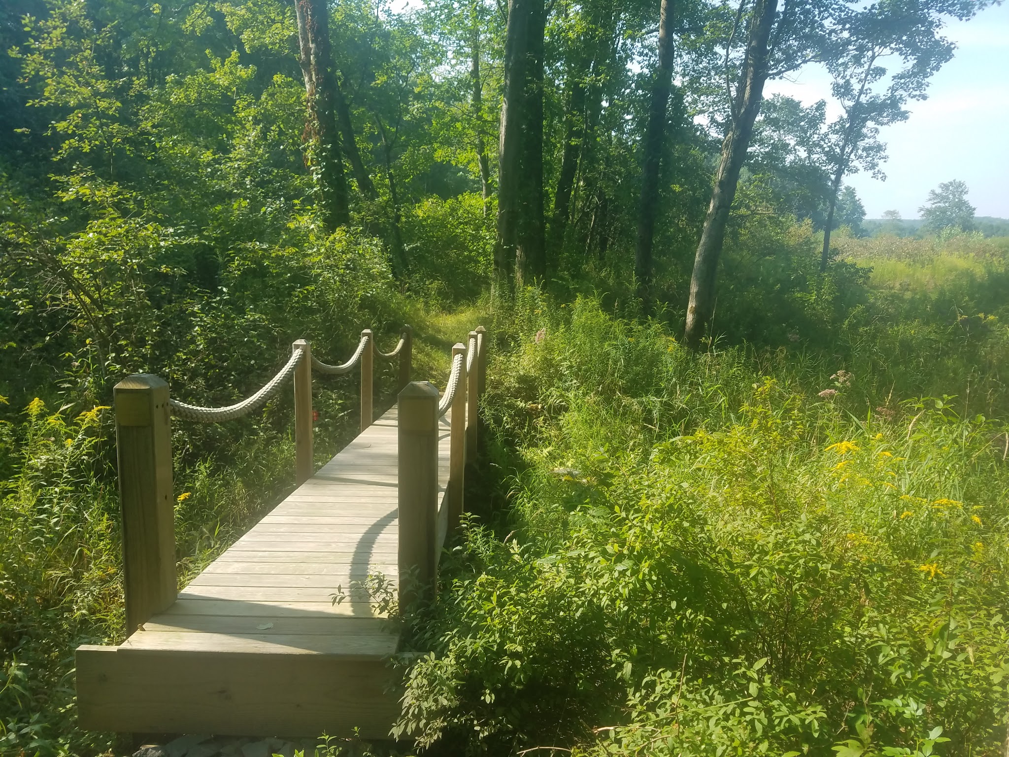 Varden Conservation Area Tannery Tract - Lake Ariel, PA