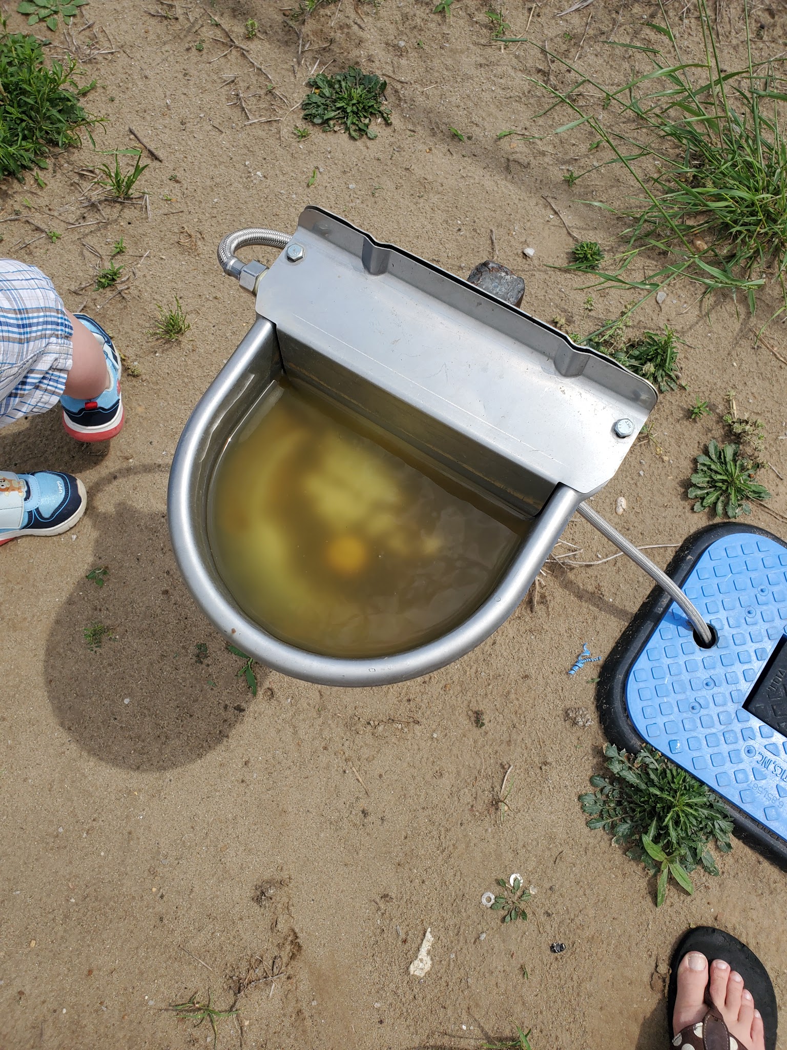 Lake City Dog Park - Lake City, AR