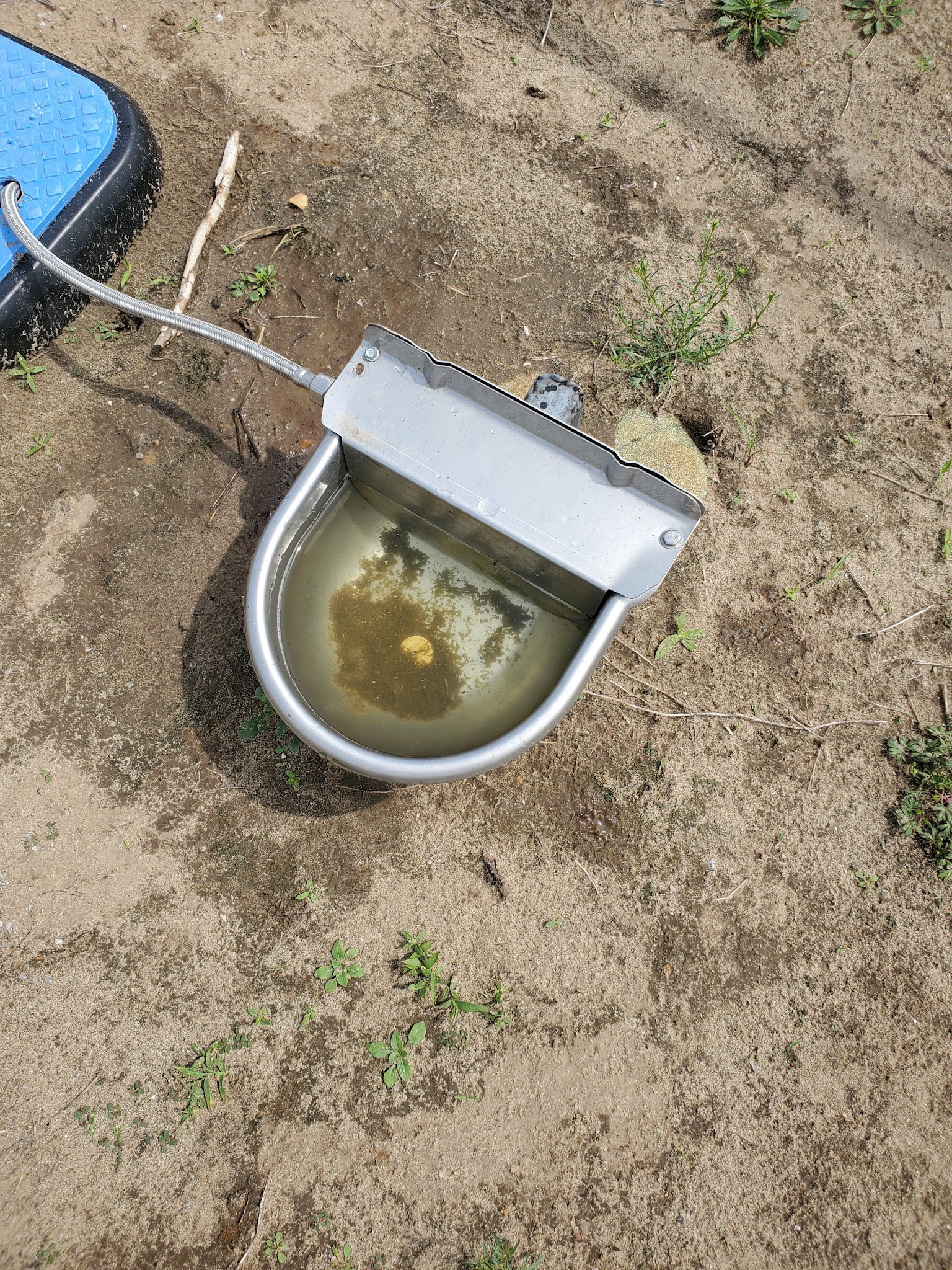 Lake City Dog Park - Lake City, AR