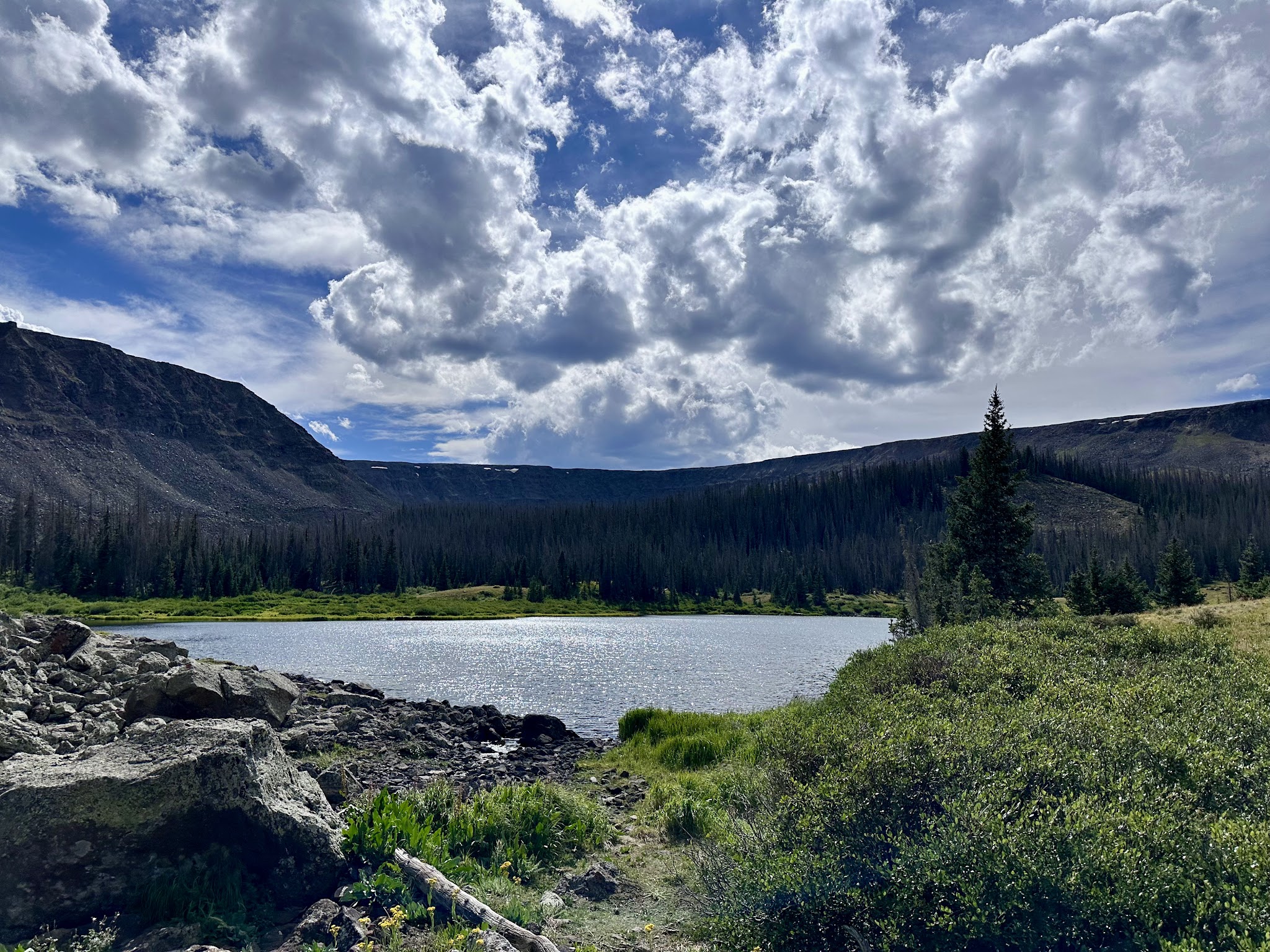Powderhorn Wilderness - Lake City, CO