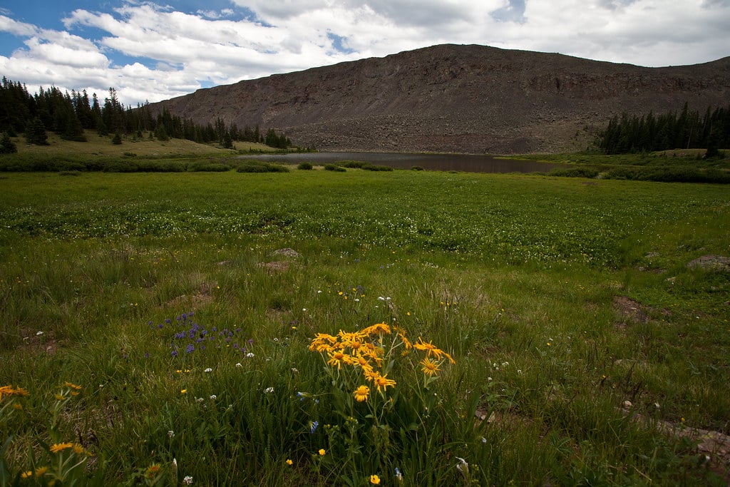 Powderhorn Wilderness - Lake City, CO