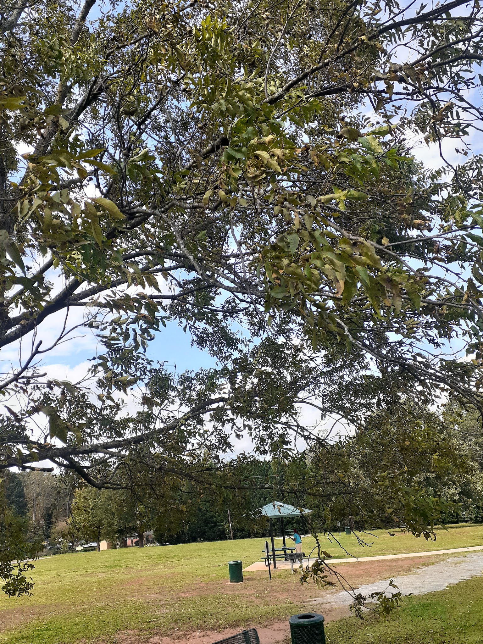 Lake City Community Park - Lake City, GA