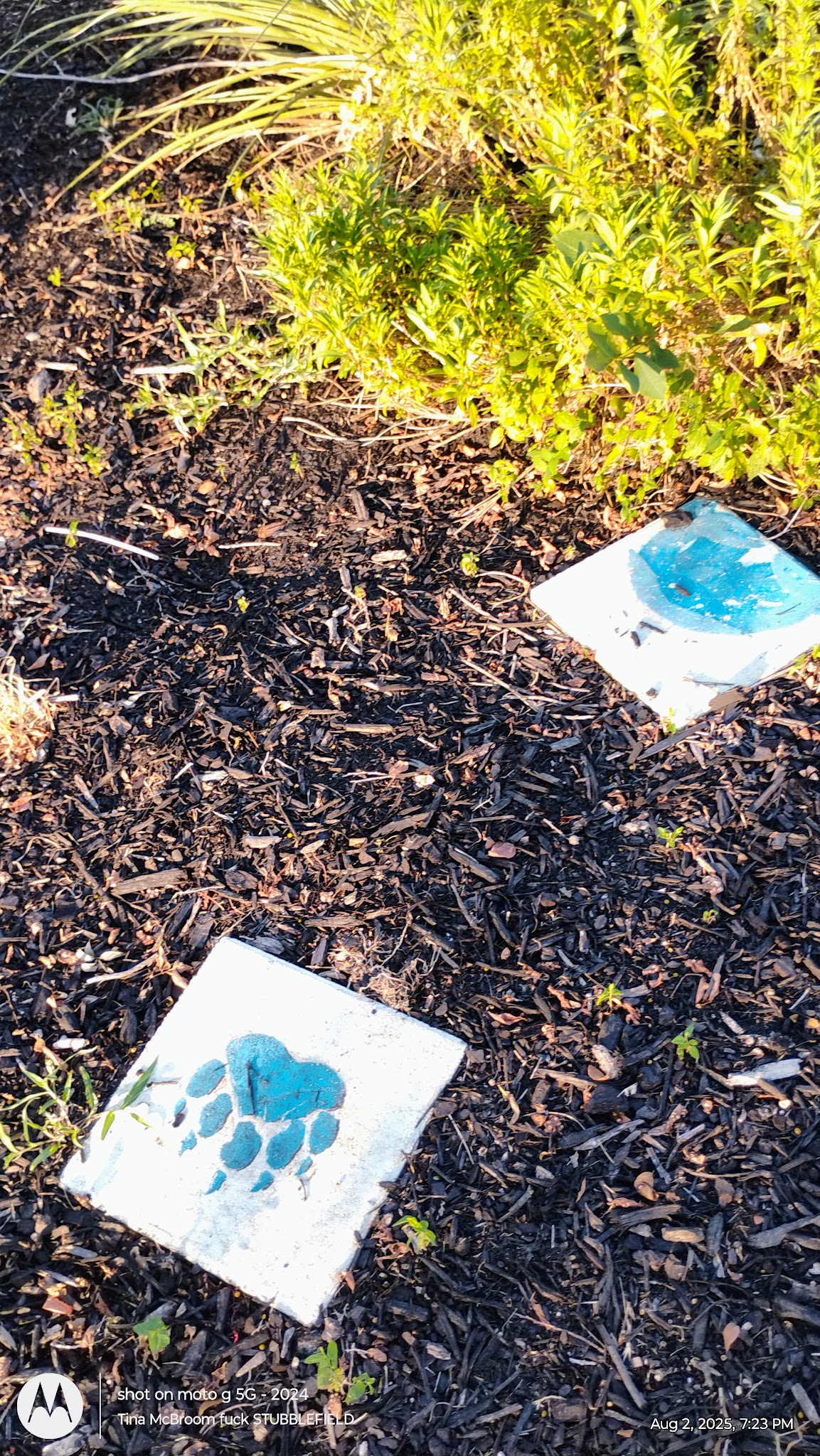 Lake Dallas City Park - Lake Dallas, TX