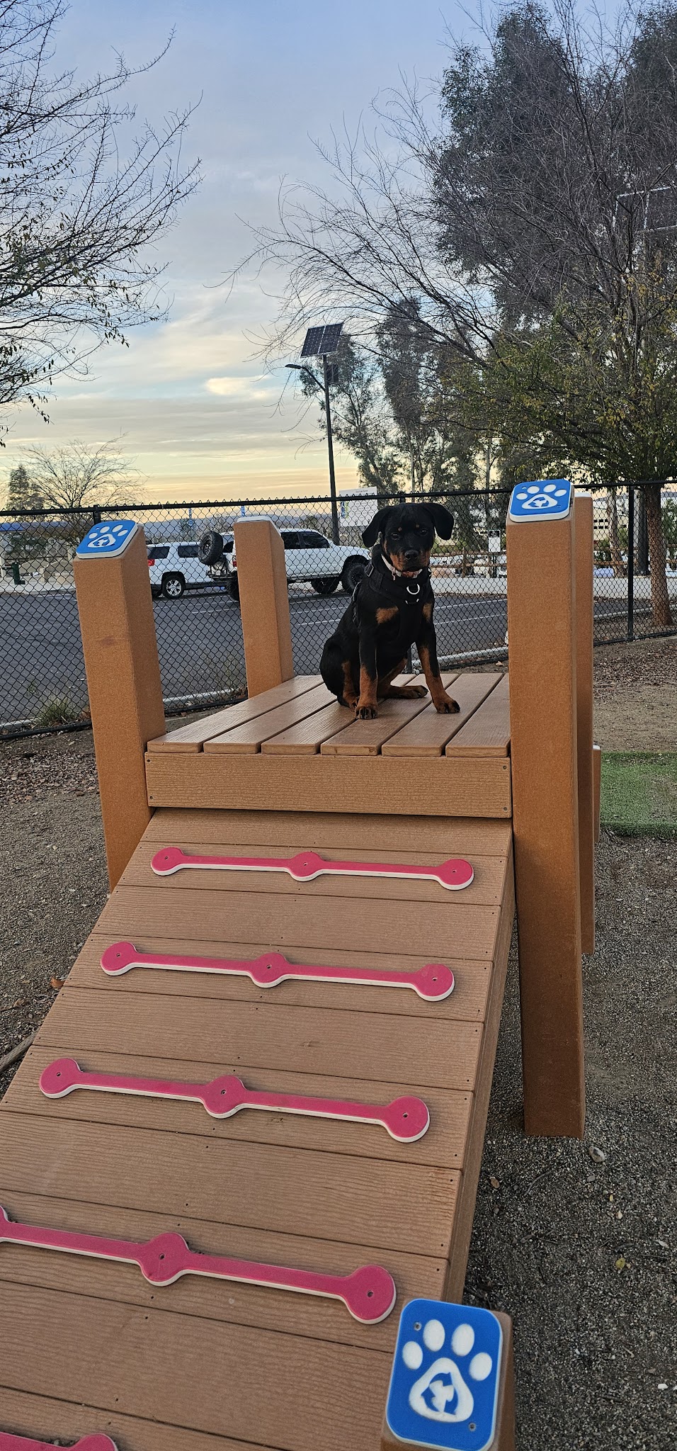 Serenity Dog Park - Lake Elsinore, CA