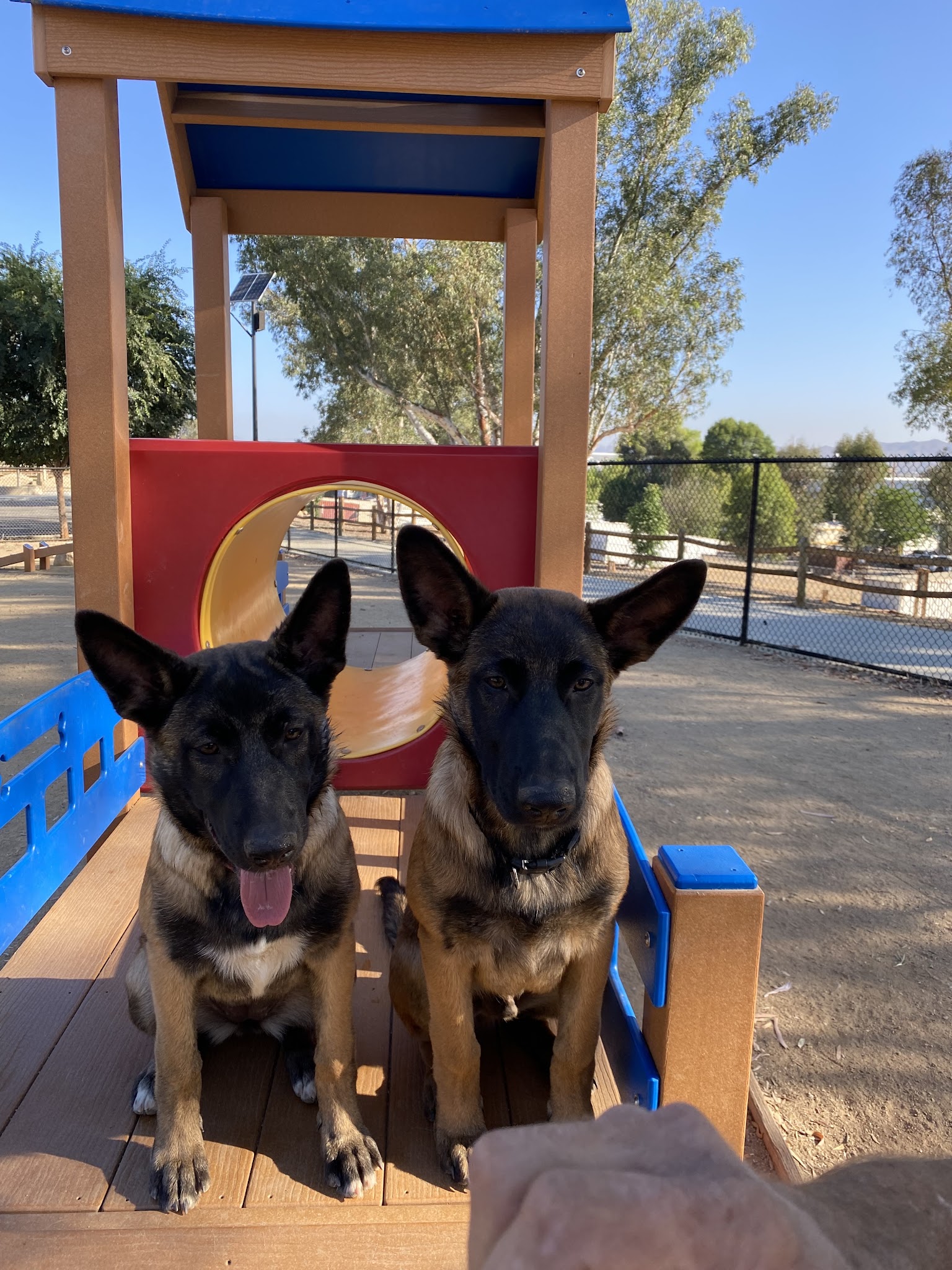 Serenity Dog Park - Lake Elsinore, CA