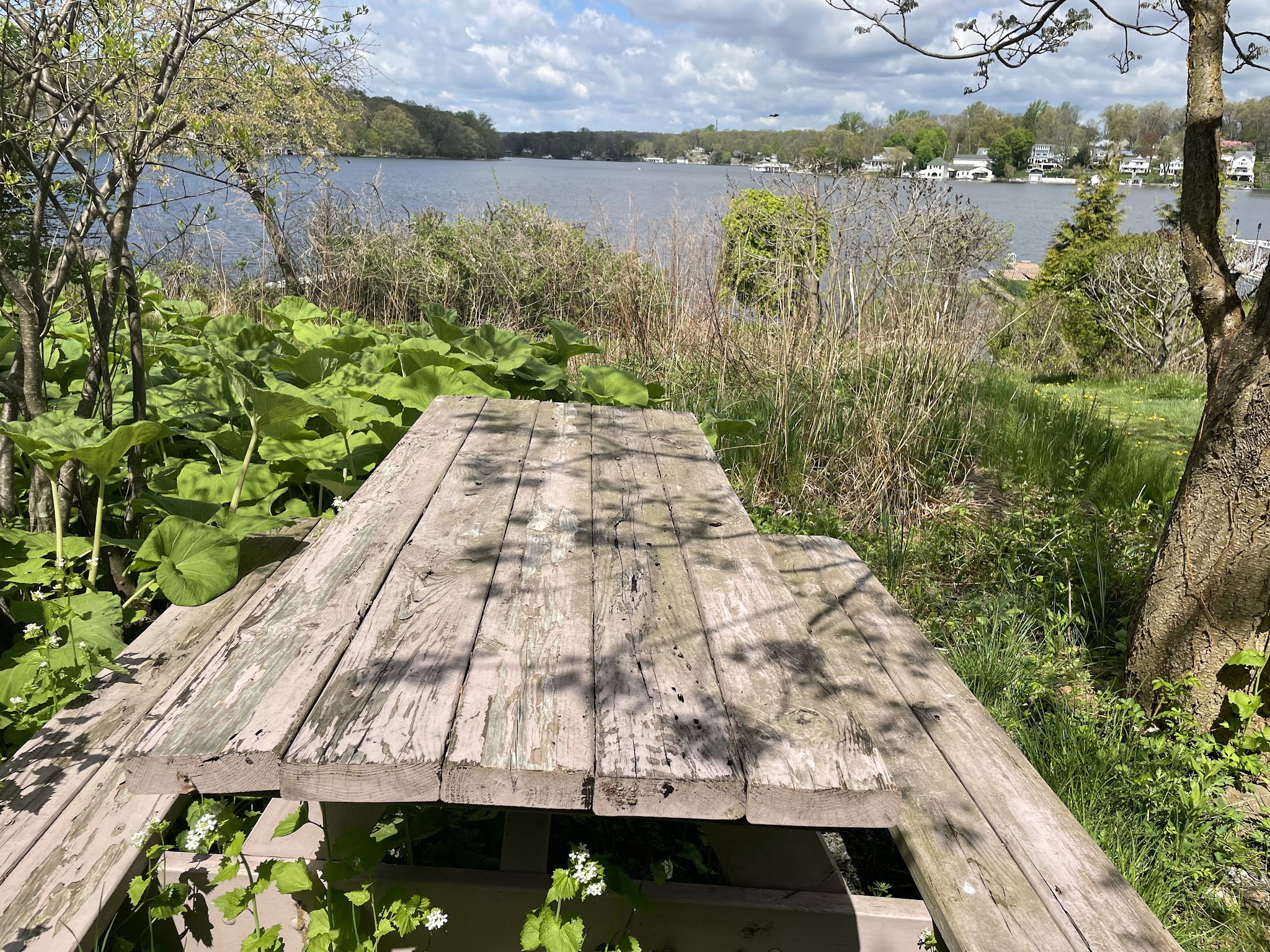 Sunset Trail - Lake Hopatcong, NJ
