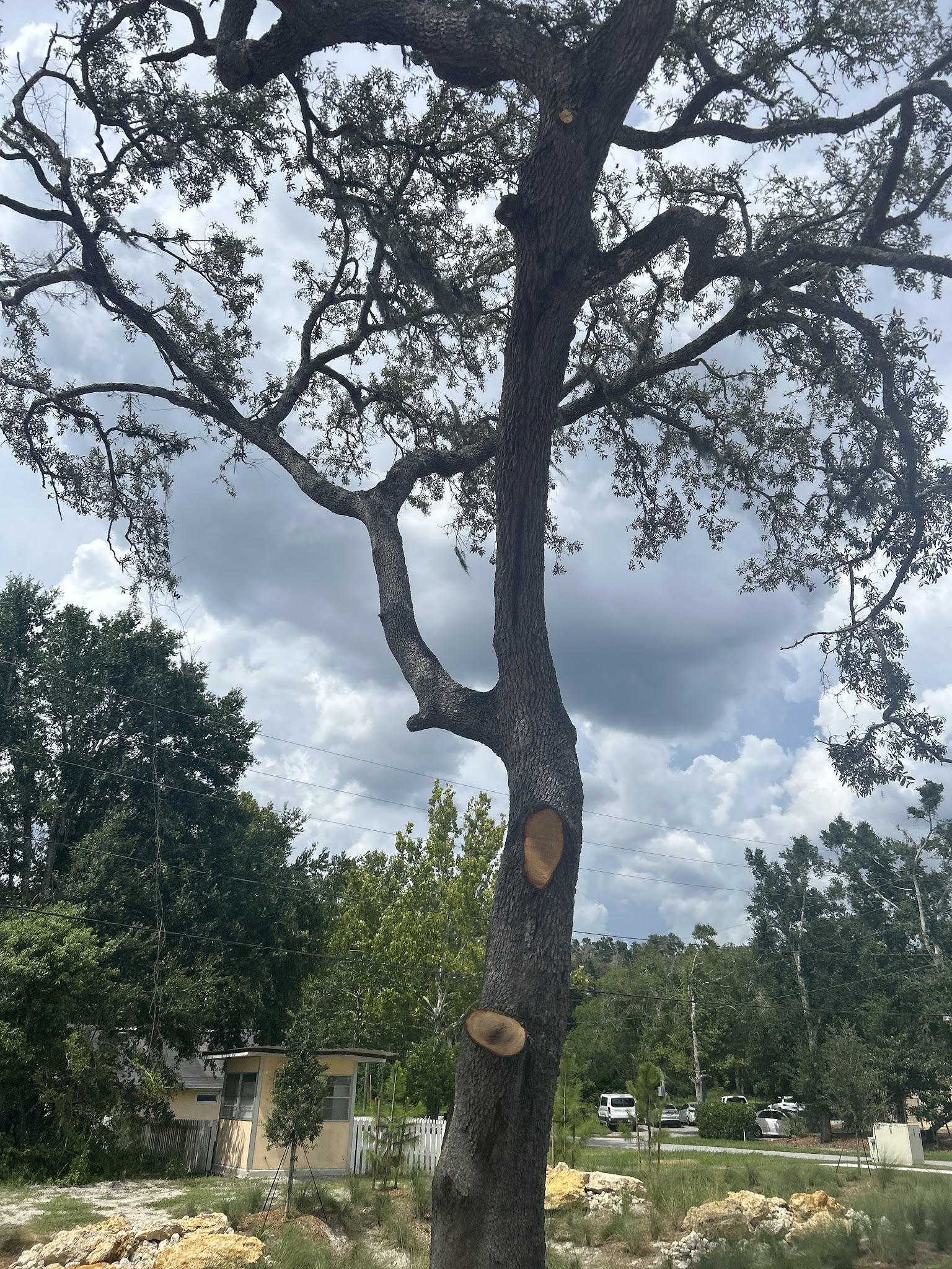 2nd & Crystal Lake Park - Lake Mary, FL